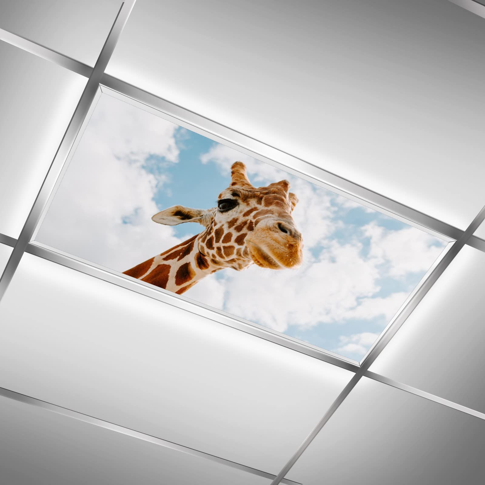 BIROSVSY Fluorescent Light Covers for Classroom - 2x4ft Backlit Film, Giraffe Design