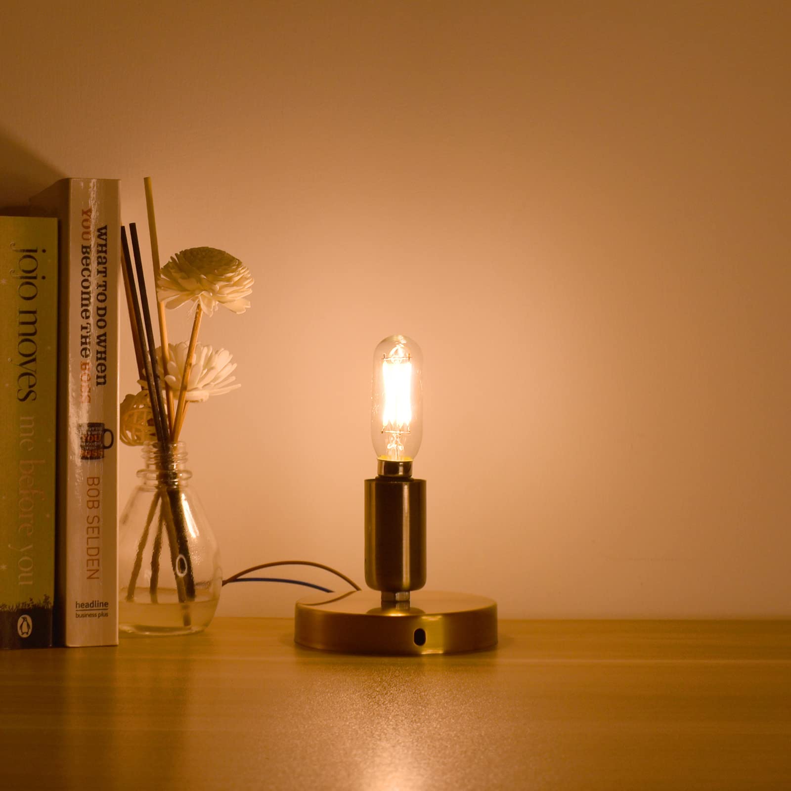 Aielit Vintage T8 Light Bulbs (Dimmable), E12 Led Bulb, 4W, Small Chandelier Base, 40 Watt Candelabra Incandescent Equivalent, E