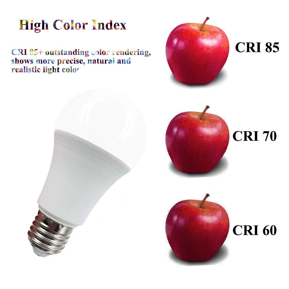 Taysing 12V A19 LED Light Bulb 9W Soft White 3000K E26 Screw Base, Model TSLB003, 2 Pack
