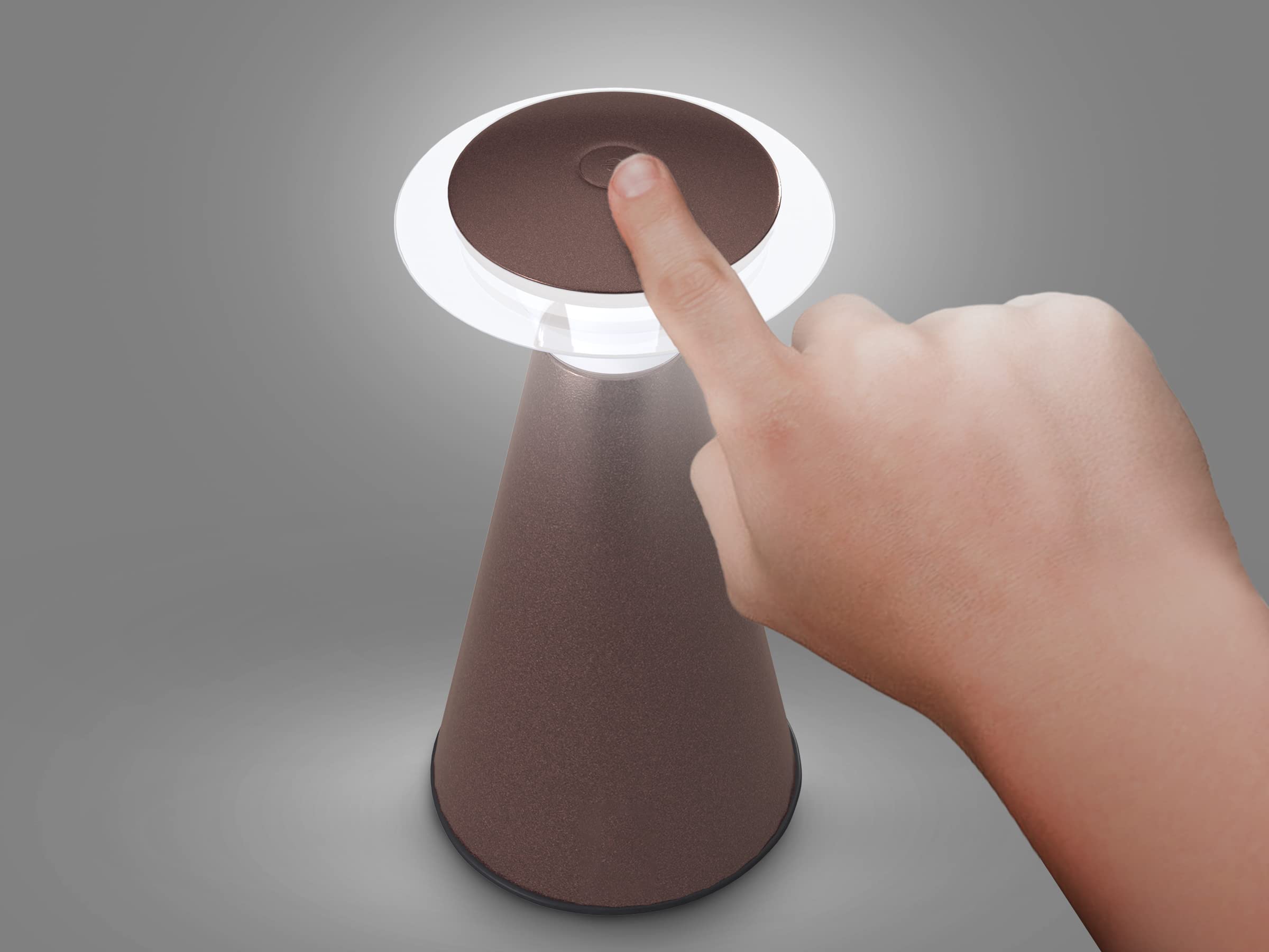 LIGHT IT! by Fulcrum Lanterna Touch Bronze Metal Lantern, Model 24411-107, Single Pack