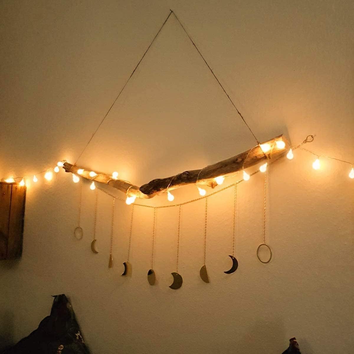 Lighting EVER Globe String Lights, 50 LED, 16.4ft, Warm White, Battery Operated with Remote & Timer, Model 4300025-WW