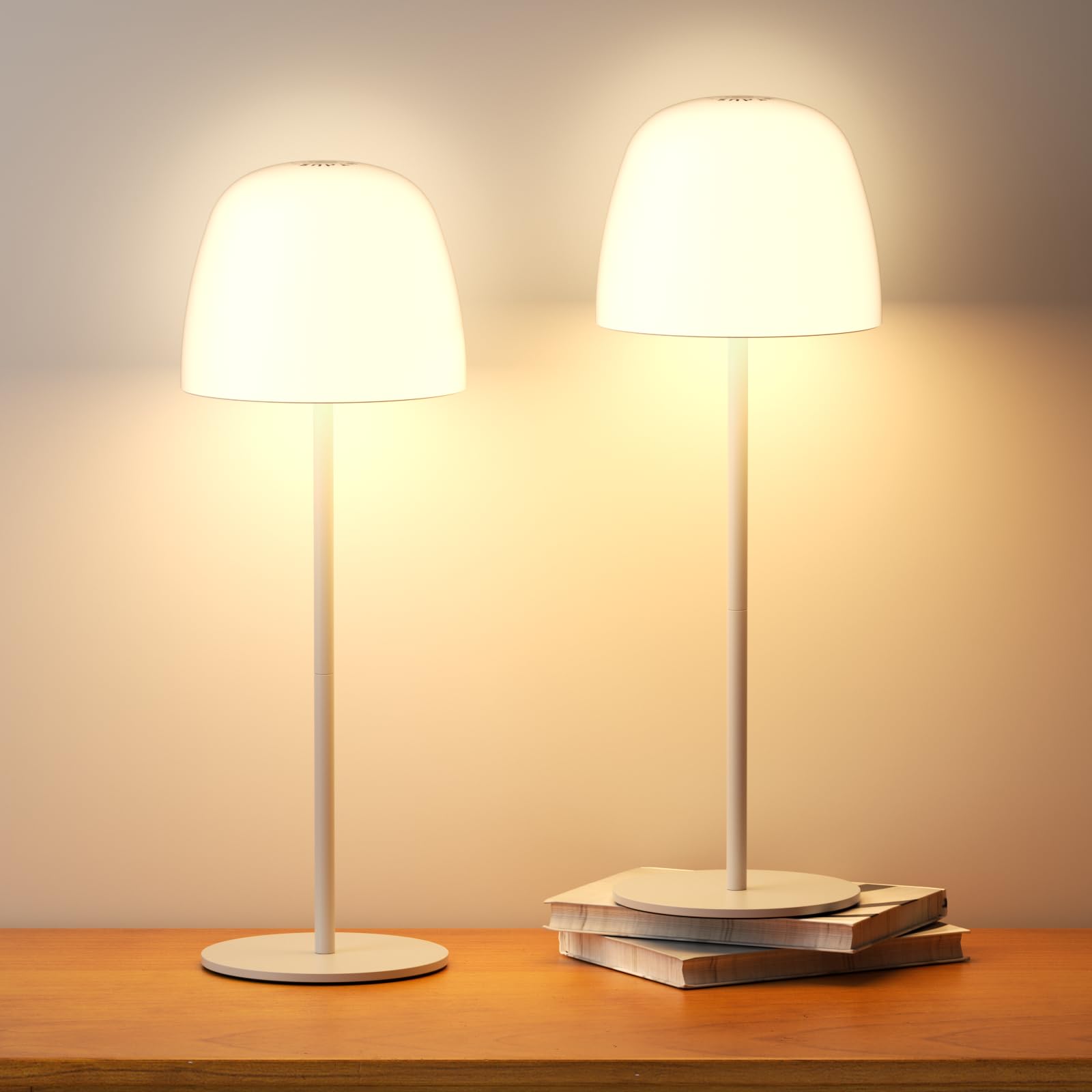 Chloranthus 2 Pack Portable Cordless Table Lamp, 3 Color Stepless Dimming 5500Mah Rechargeable Battery Operated Led Desk Lamp, F