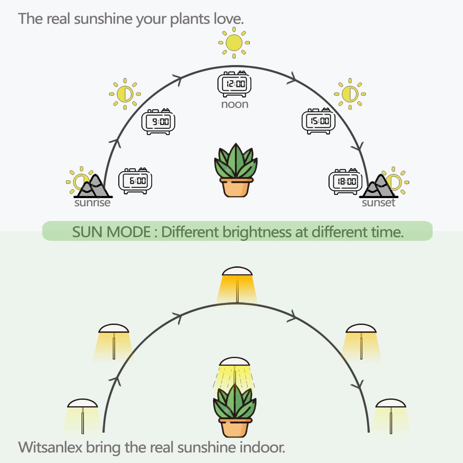 Led Grow Lights For Indoor Plants, Smart Usb Small Full Spectrum Plant Lights With Remote, Height Adjustable, Auto On/Off Timer, Ideal For Home Decoration, Blue