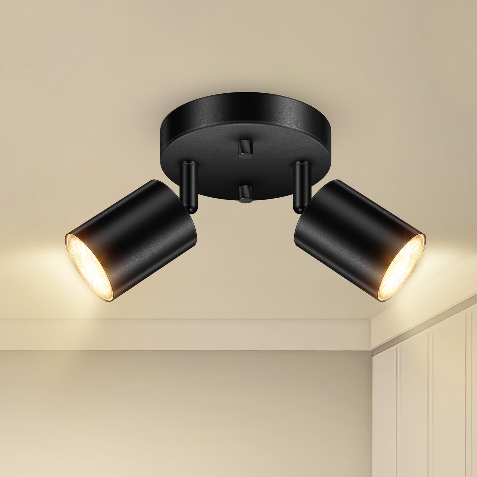 BoostArea LED Track Lighting Kit, 2 Light, Metal, Black, Model C0321, Flexibly Rotatable Heads