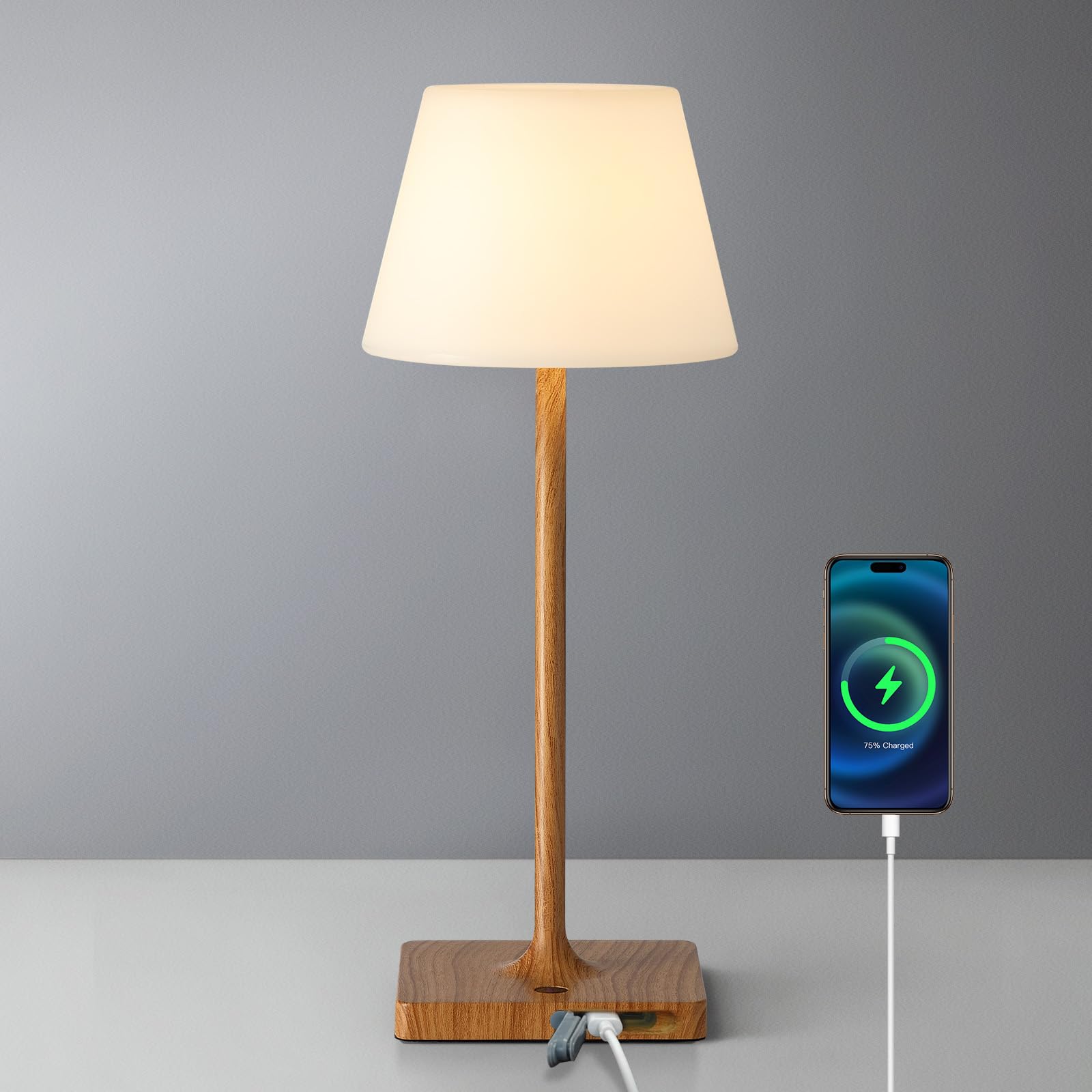 Newsee Led Cordless Table Lamp, 4000Mah Portable Rechargeable Battery Powered Dimmable Outdoor Waterproof Table Light, Touch Nig