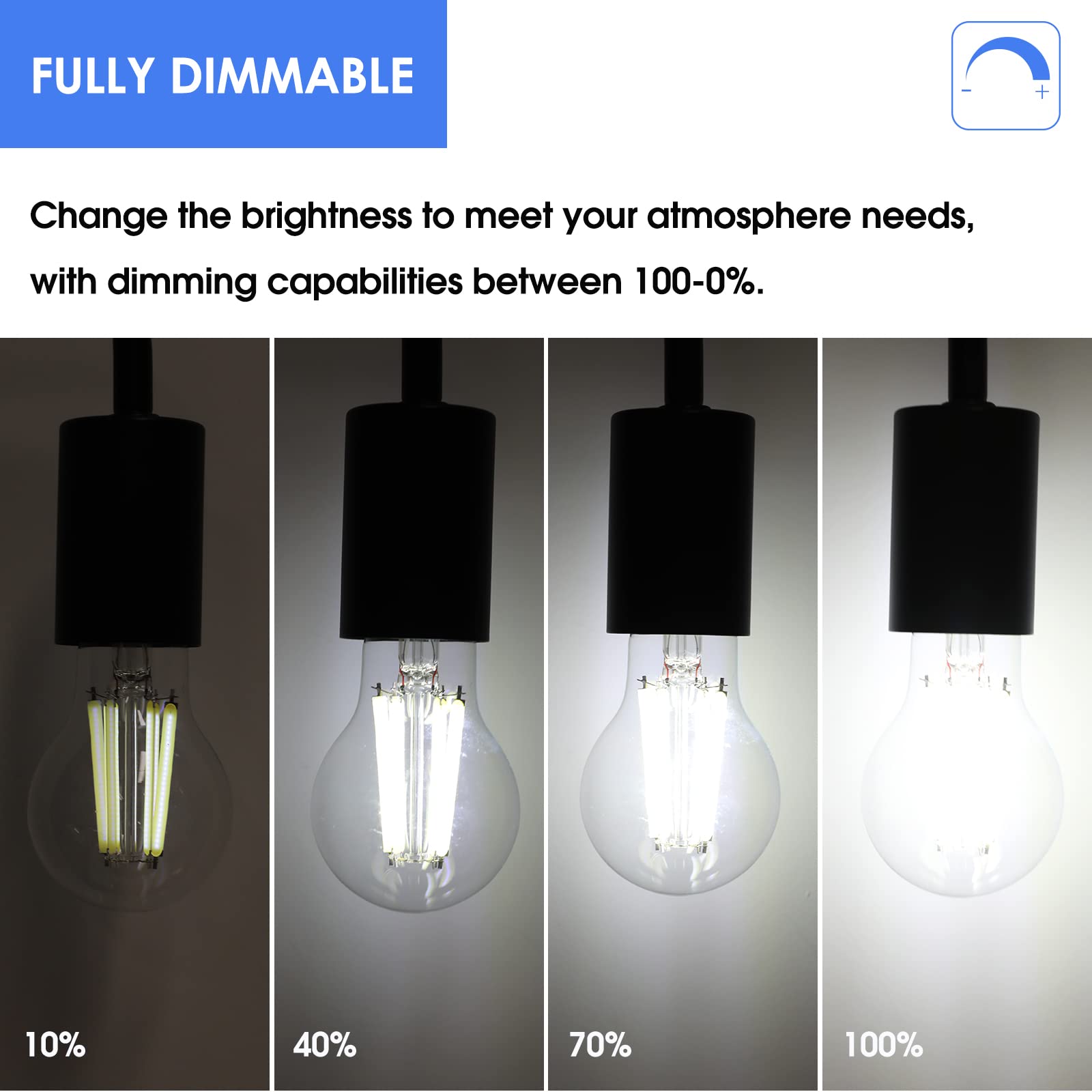 Energetic Dimmable A19 Led Edison Light Bulb, 12W Equivalent 100W, 1600Lm High Brightness, 5000K Daylight, Clear Antique Led Fil