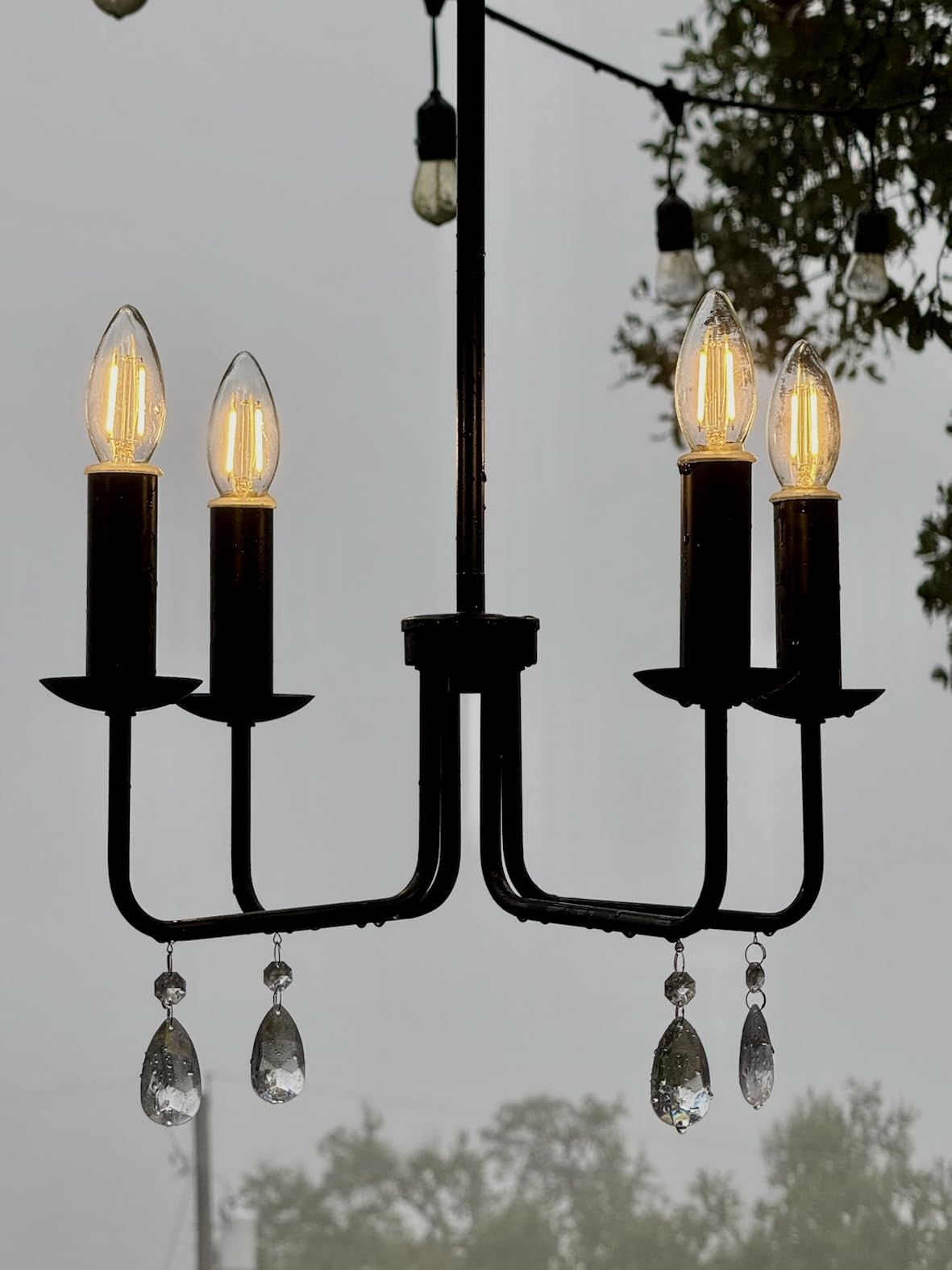 Brink House 4 Light Plug-in Chandelier, Stainless Steel, Straight Black, H19”xW17”, Low Voltage, IP65 Water Resistant