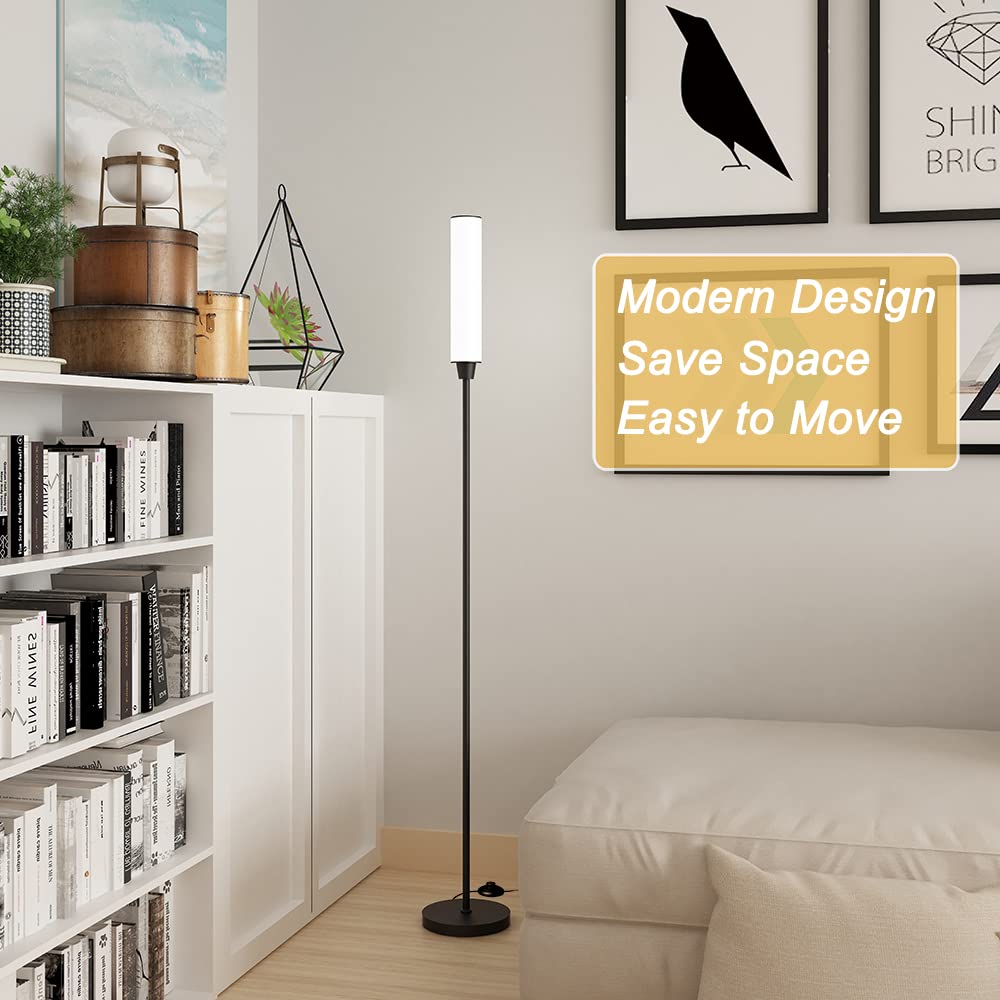 Nukanu Floor Lamp - Remote Control, Adjustable 3000K-6000K, 10-100% Brightness, Iron, Black, Model FLP-DHY