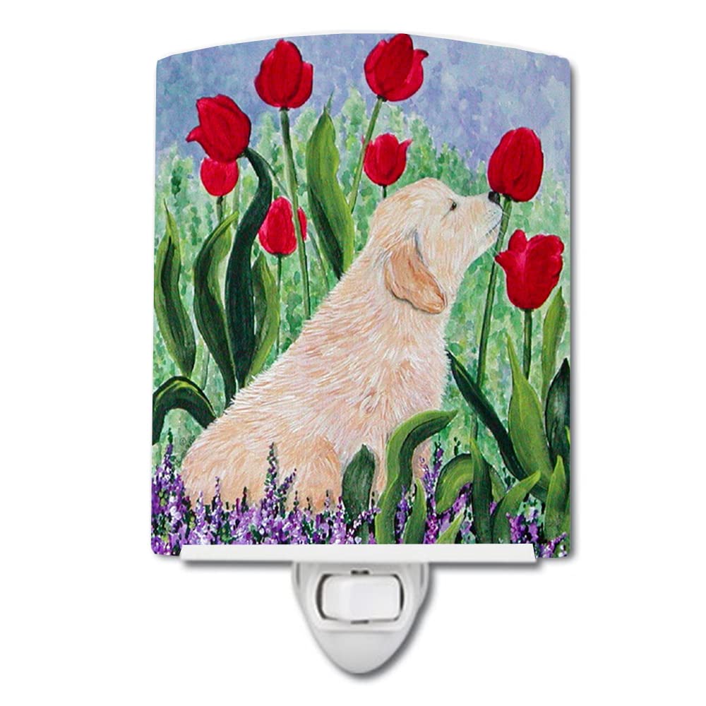 Caroline'S Treasures Ss8610Cnl Golden Retriever Ceramic Night Light Compact, Ul-Certified, Ideal For Bedroom, Bathroom, Nursery, Hallway, Kitchen, 6X4X3, Multicolor