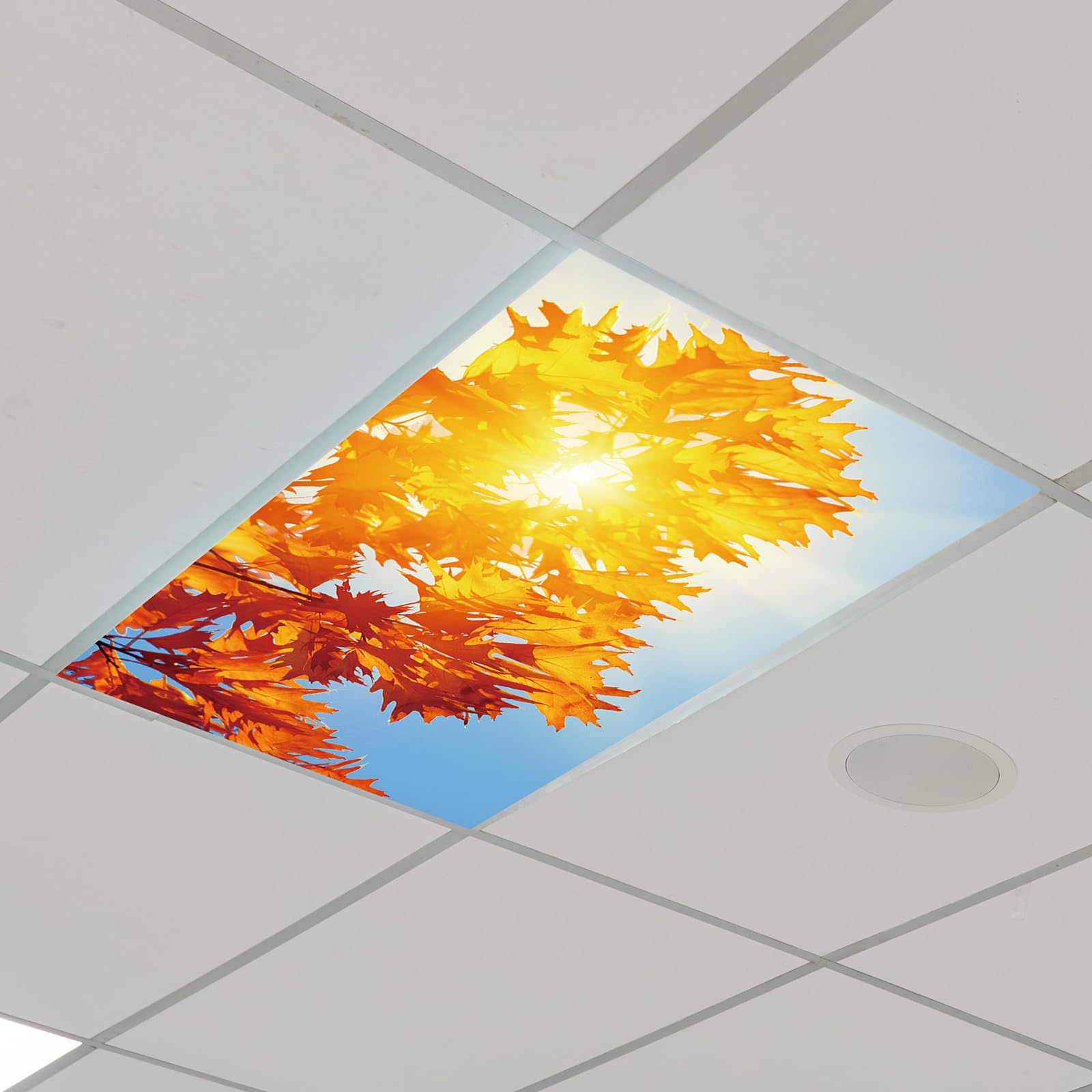 Outus Fluorescent Light Cover Magnetic Ceiling Panel 2x4 ft Polyester Maple Leaf