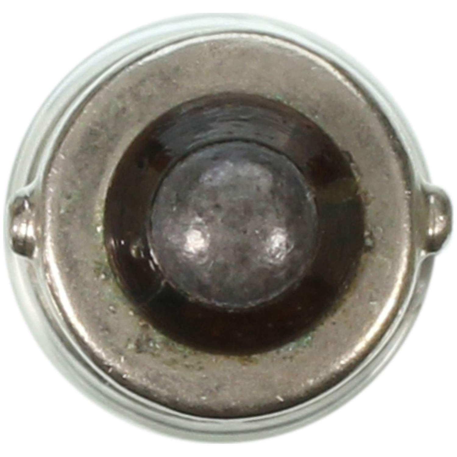 Wagner Lighting 1891 T-3 1/4 Bulb 13/32&quot; (10Mm) Dia