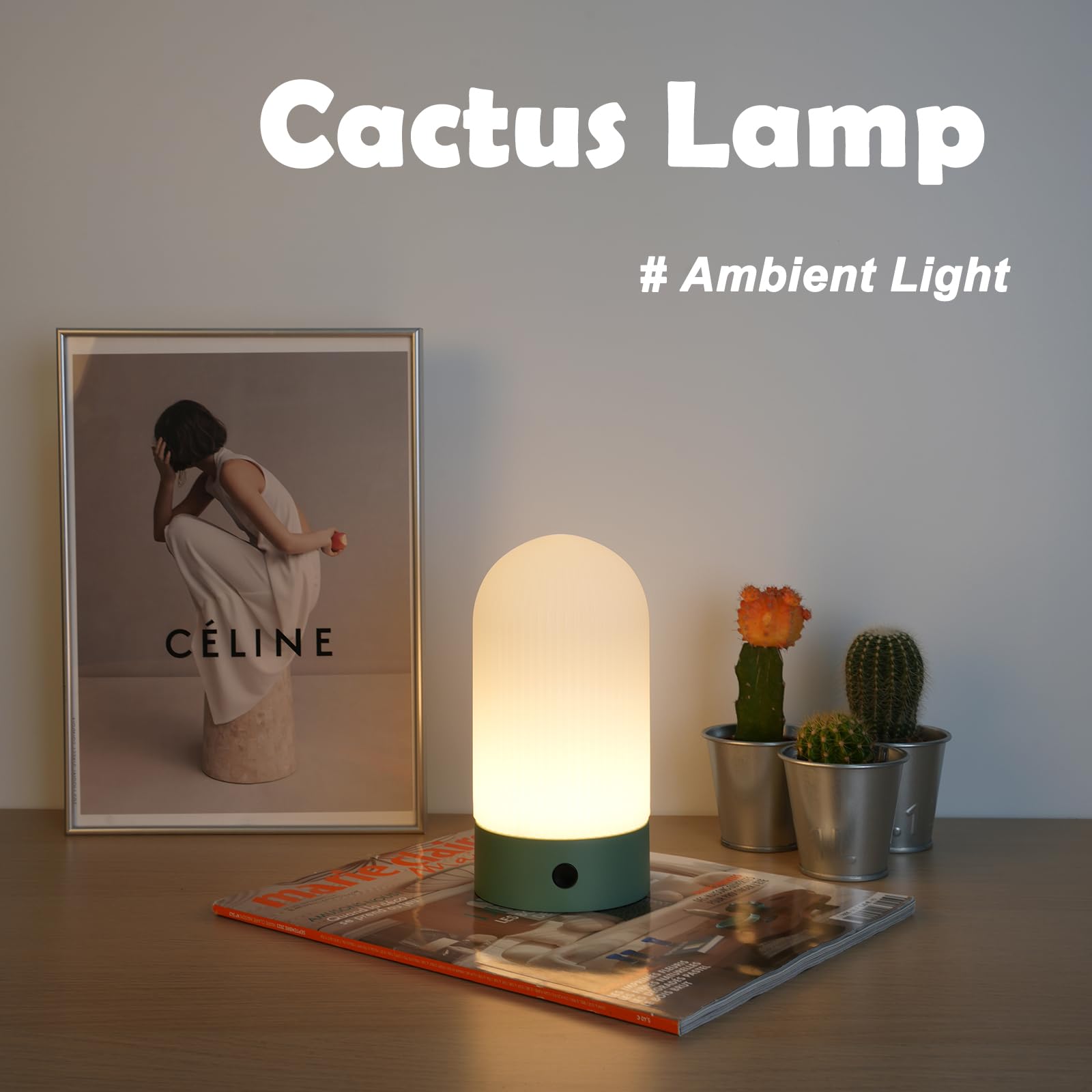 WEILAILUX Battery Operated Shower Lamp, Waterproof, Rechargeable, Touch Dimmable, Portable, White, Model WL-2440