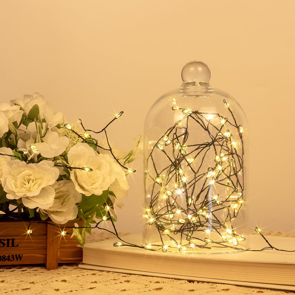 ZELUXDOT 100FT Waterproof Fairy Lights, 1000 LEDs, Warm White, 8 Modes, Plug-in String Lights for Indoor/Outdoor Decor