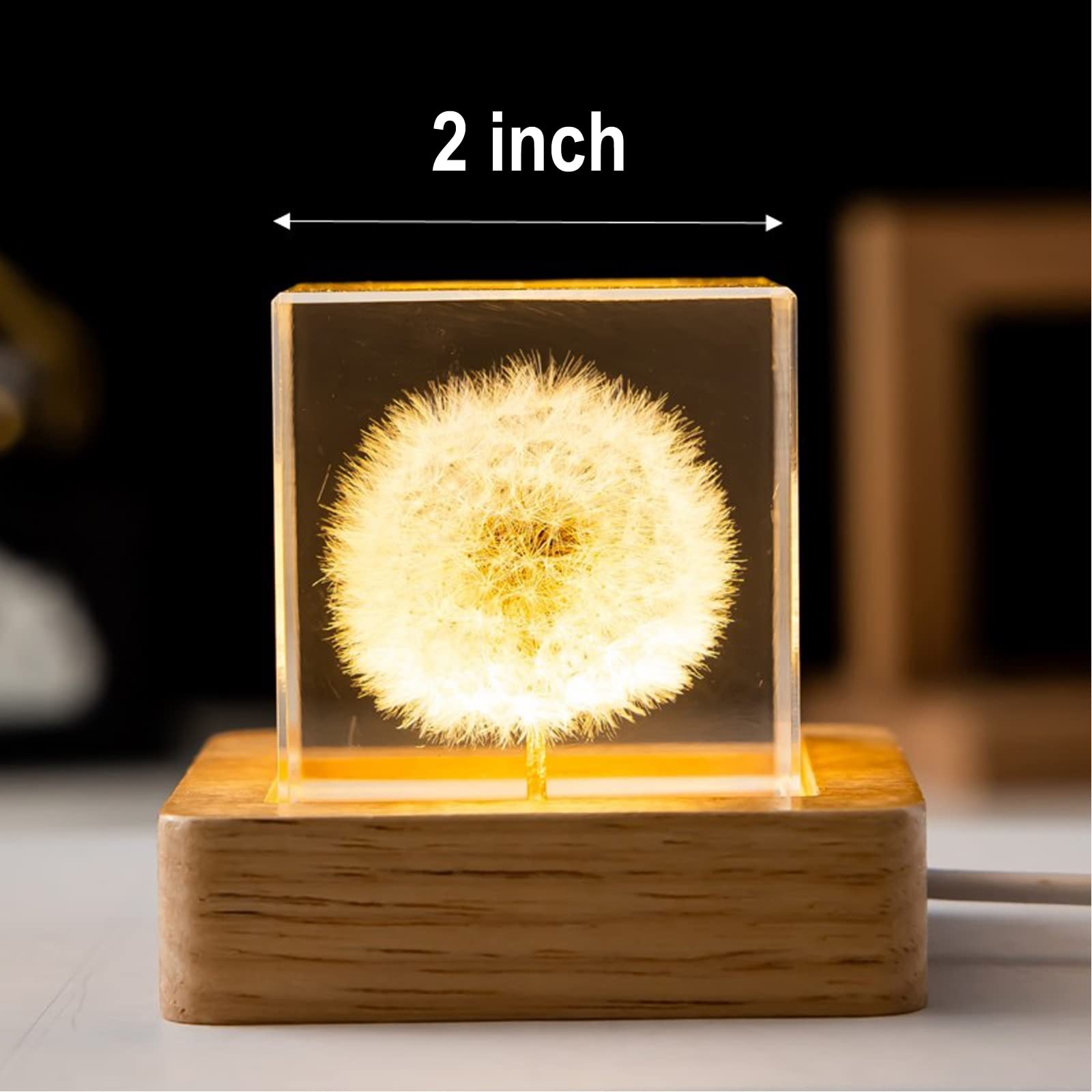 Marzius Flower Crystal Ball Night Light,2.4 Inch Glass Ball Night Lamp With Woodern Base (Dandelion 1)