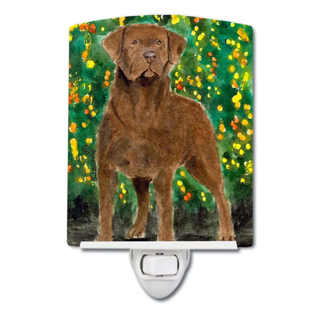 Caroline'S Treasures Ss8969Cnl Chesapeake Bay Retriever Ceramic Night Light Compact, Ul-Certified, Ideal For Bedroom, Bathroom, Nursery, Hallway, Kitchen, 6X4X3, Multicolor