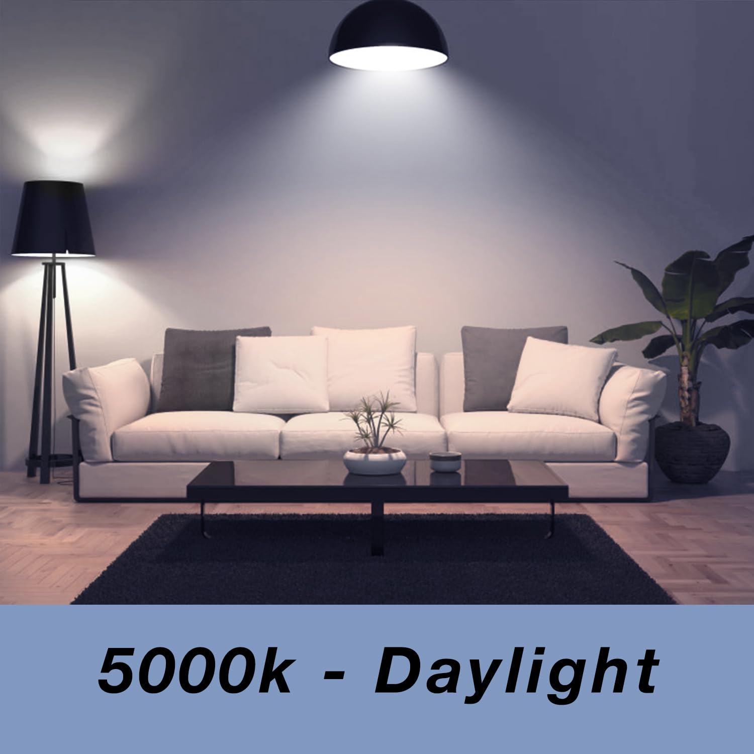 Daybetter 12 Pack A19 Led Light Bulbs, 60 Watt Equivalent Led Bulbs, Long Lifespan High Brightness 800Lm Daylight White 5000K, E