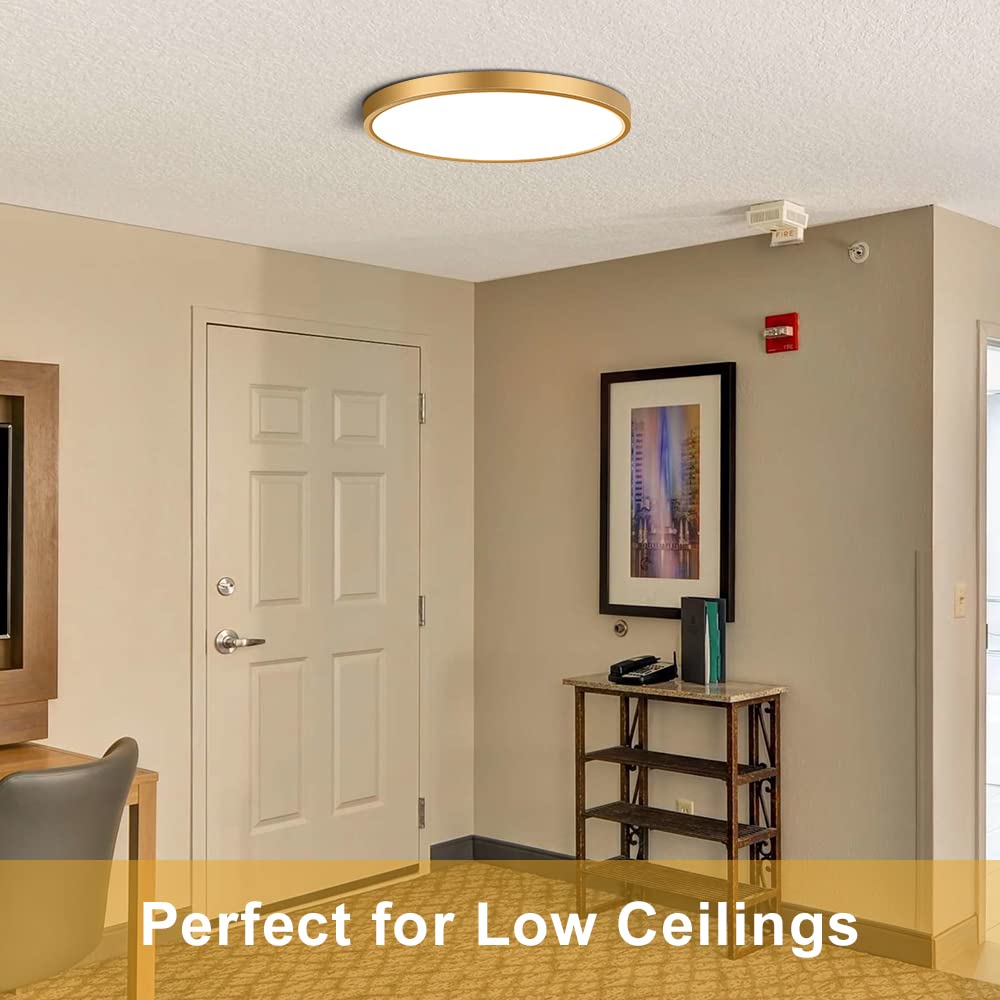 9&quot; Gold Led Flush Mount Ceiling Light By Ledlightsworld, 5000K Daylight, 18W, Slim Design