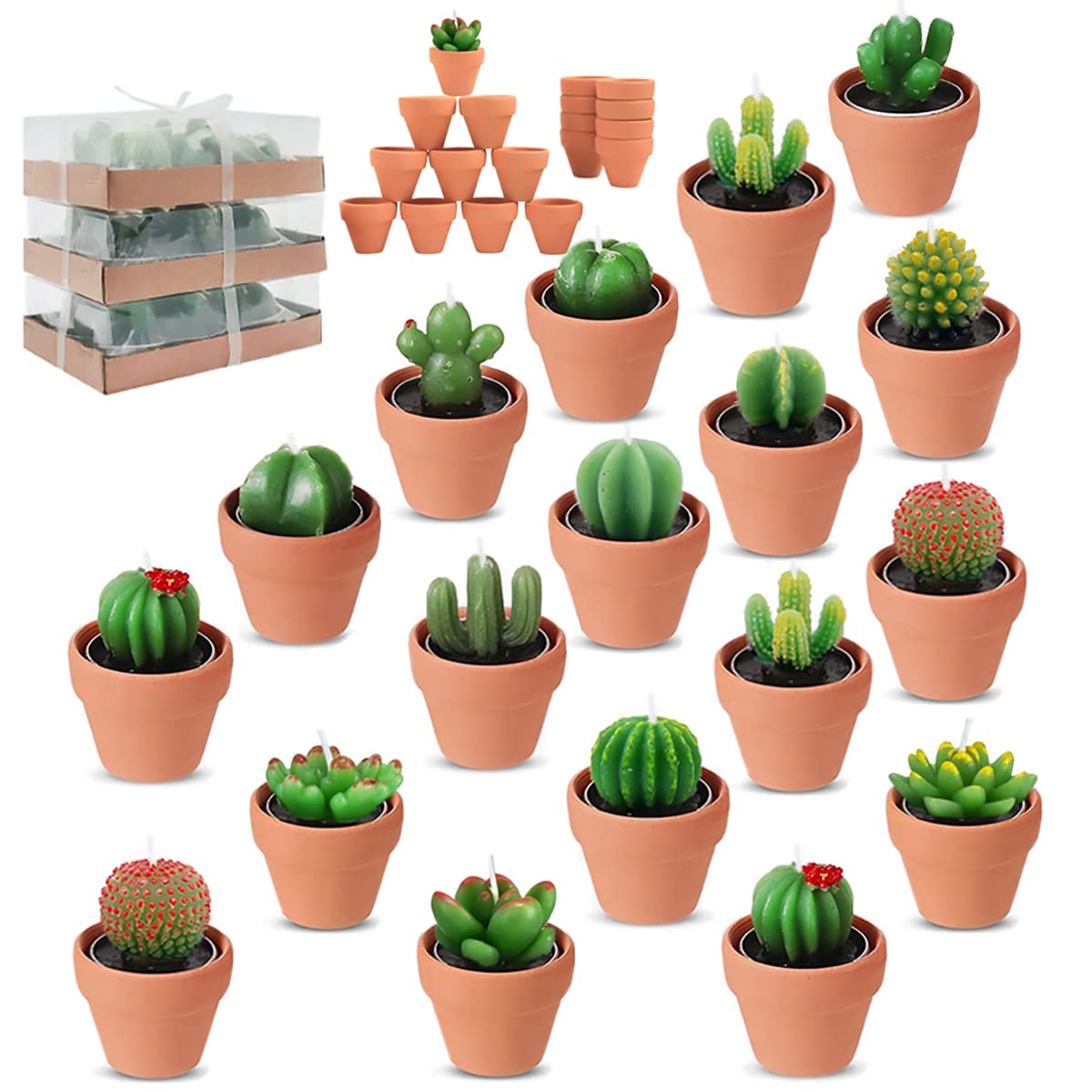 18pcs Cactus Tealight Candles Tea Party Decorations Succulent Baby Shower Fiesta Party Favors Home Decor Plant Gifts T Light Can