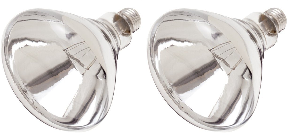 Satco S4999 Clear Glass Heat Lamp 250R40 Medium Base 2 Count