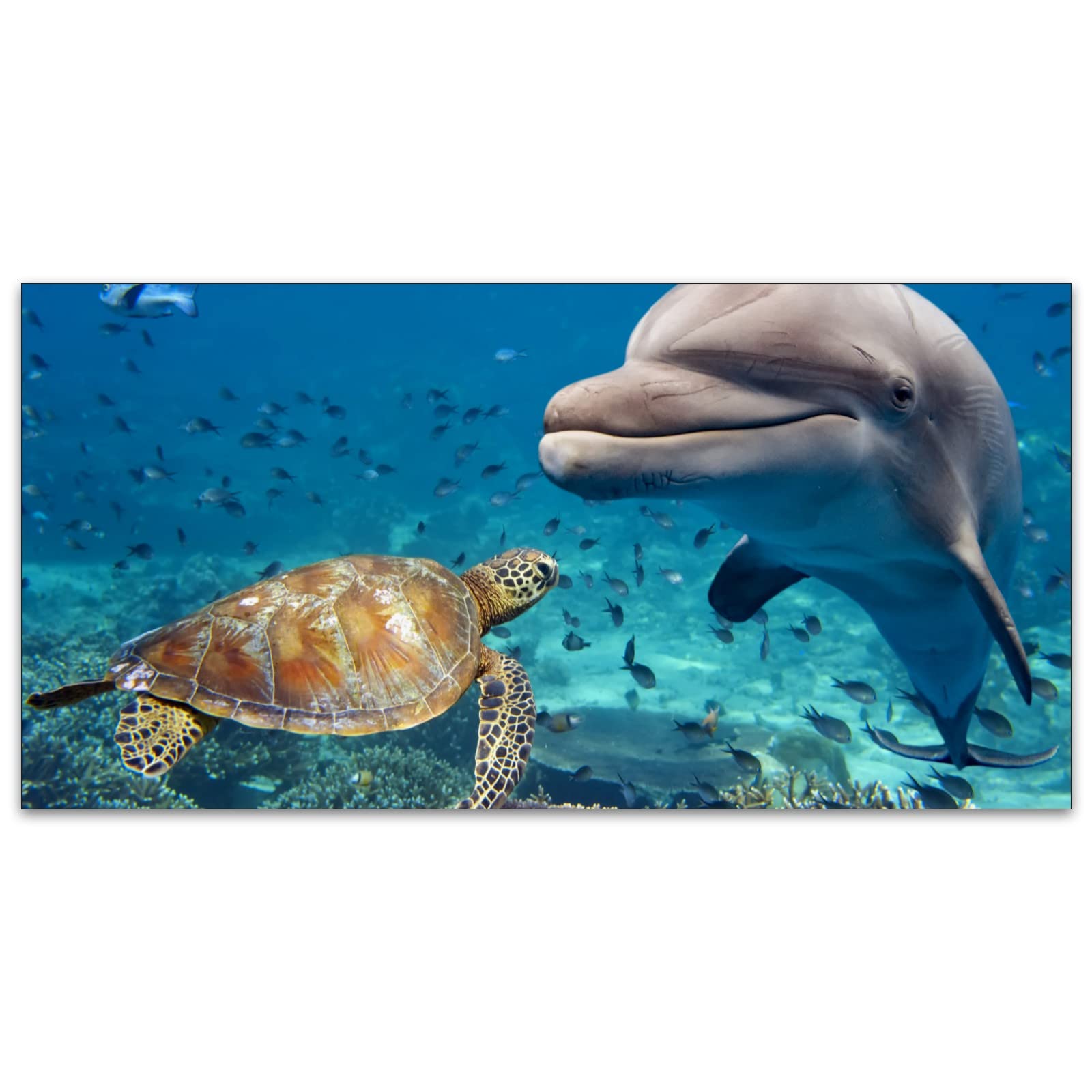 Underwater Sea World Marine Sea Turtle Dolphin Fish Beautiful- Fluorescent Light Covers - 2X4 Drop Ceiling Fluorescent Decorativ
