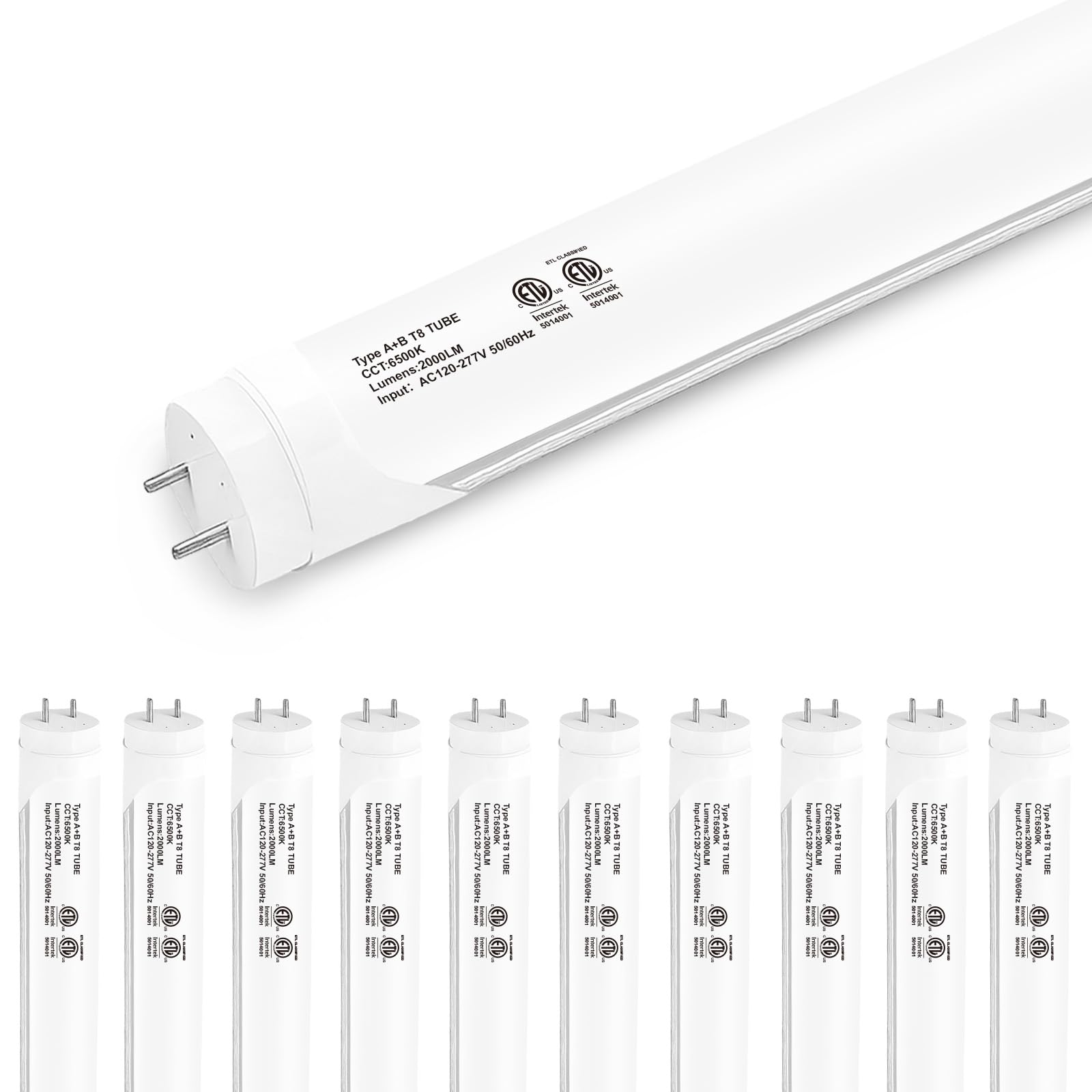 Madewell Living 10-Pack T8 LED Tube Lights, 4ft, 2000 Lumens, 6500K Daylight White, Hybrid Type A+B, ETL Certified