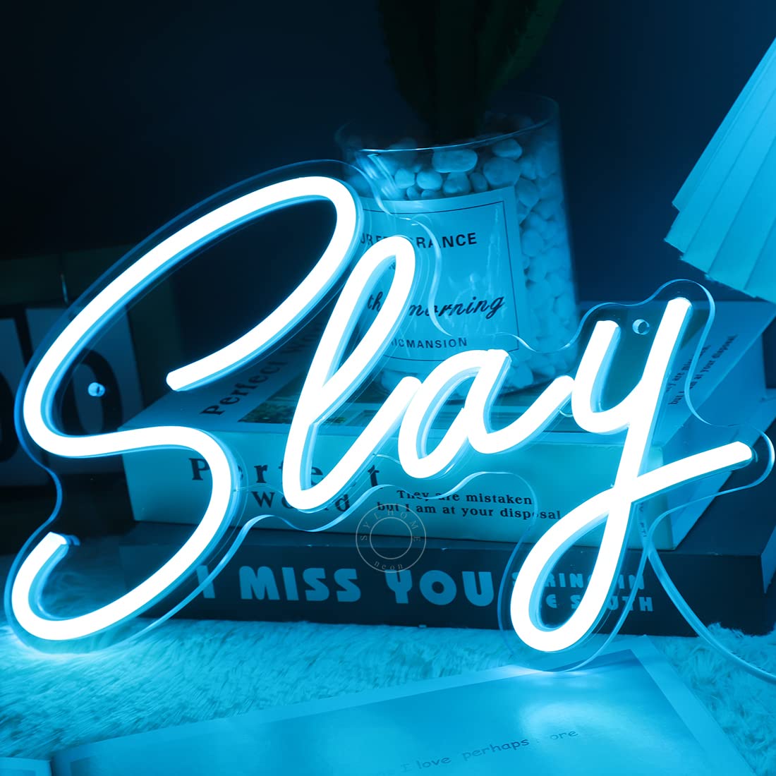 SYLHOME LED Neon Light Sign for Bedroom, Game Room, USB Night Light, 11.8in x 8in, Blue Slay, Acrylic and Plastic Material