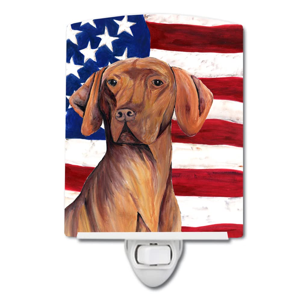 Carolines Treasures Ceramic Night Light, USA American Flag with Vizsla, Model SC9022CNL, 6x4x3 inches, Multicolor