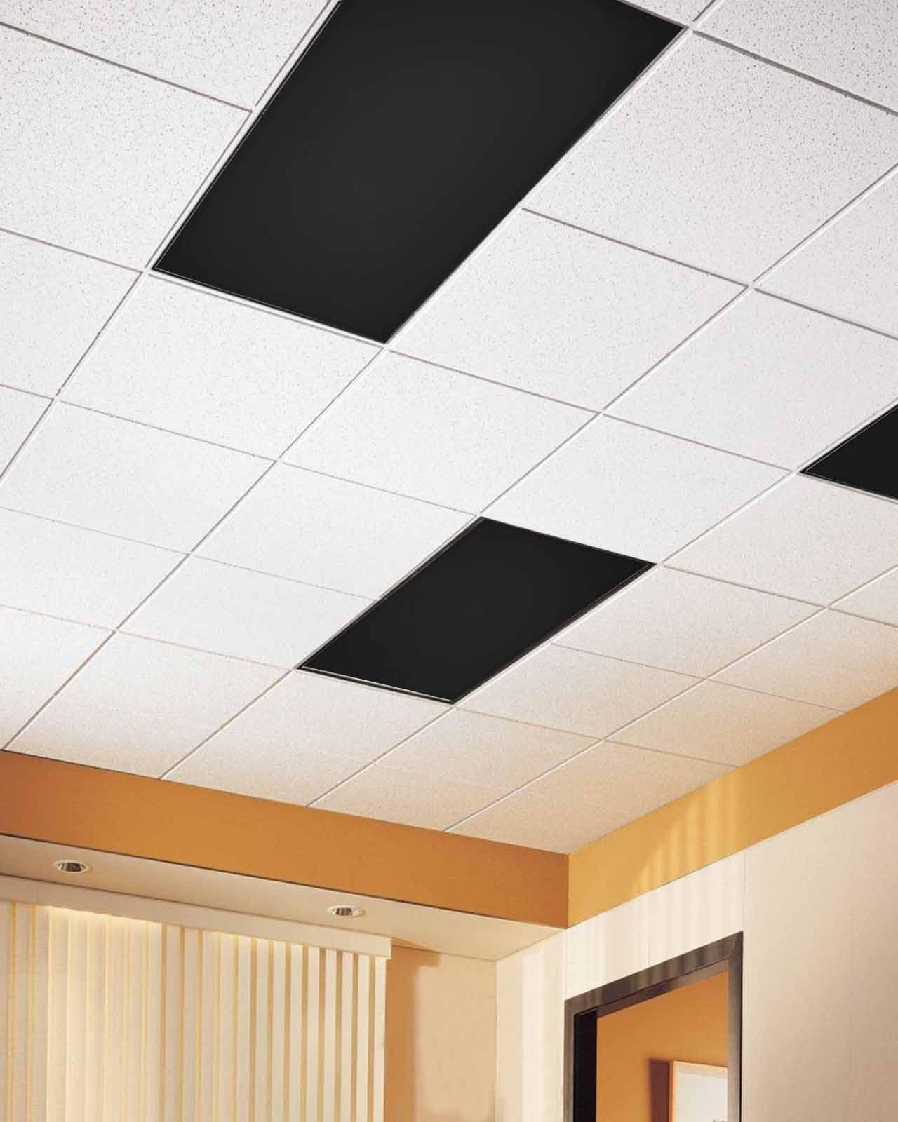 Futuregrace Magnetic Light Cover, 2 Pack 4x2 Ft Pure Black Fluorescent Lampshade for Classroom and Office Ceiling Lighting