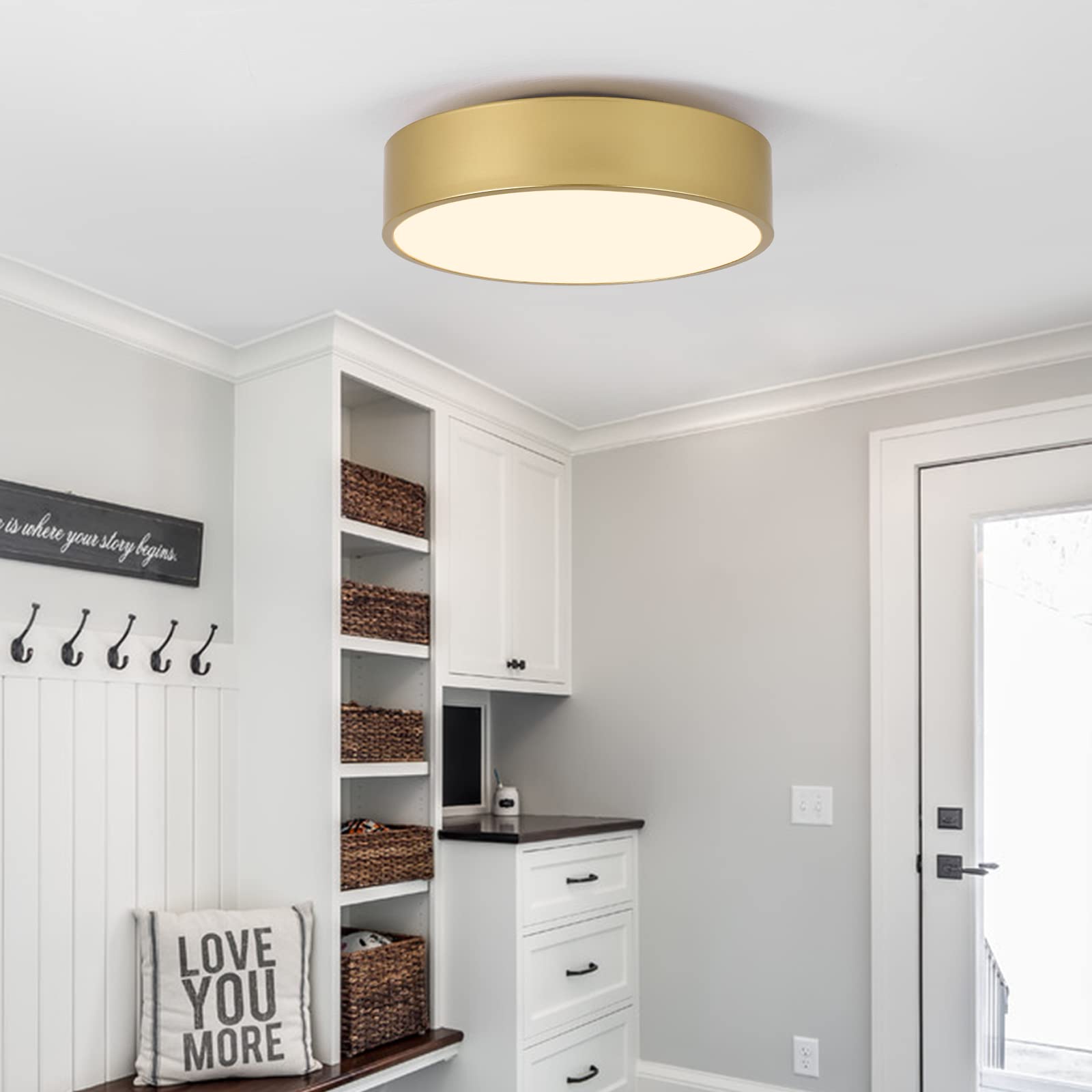 POLITAMP Modern Gold Flush Mount Ceiling Light, 2-Light Acrylic Shade, 11.8", Contemporary Design for Hallway, Foyer, Kitchen