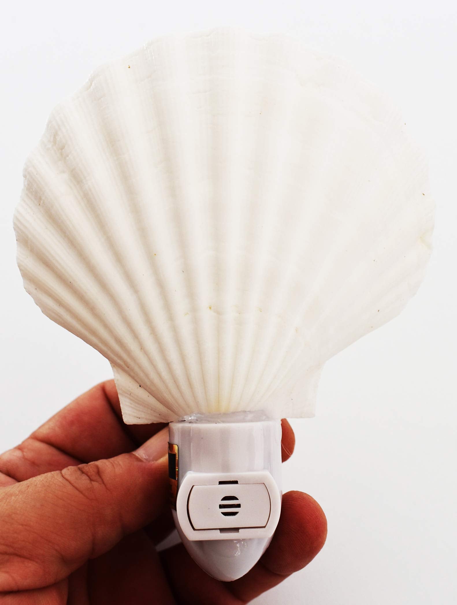 Florida Shells And Gifts Inc. Seashell Night Light Real White Scallop Shell Beach Decor W. On/Off Switch Beautiful Coastal Cottage