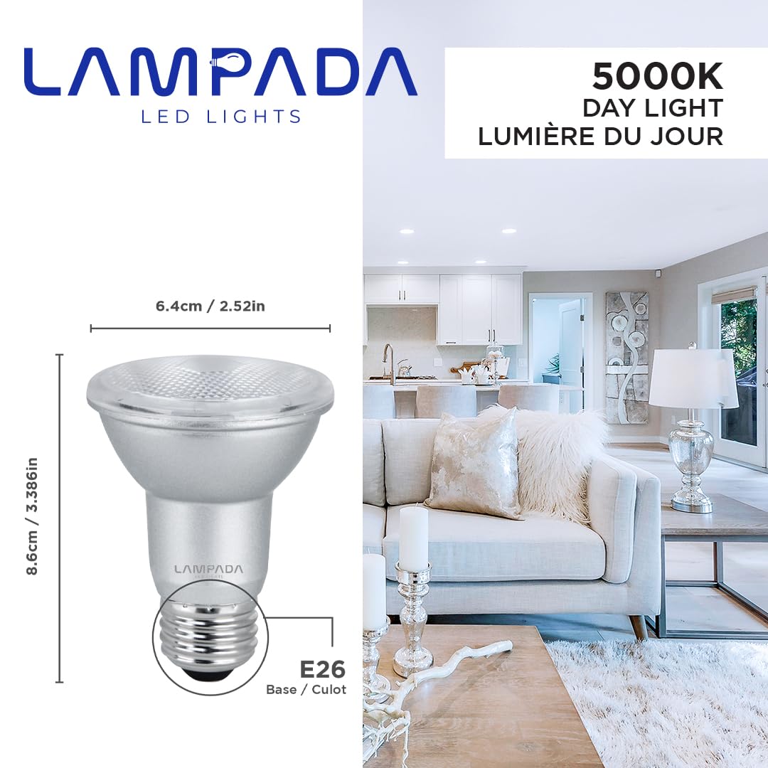 Lampada Par20 Led Dimmable Flood Light Bulb, 500 Lumens, 5000K Bright White, Pack Of