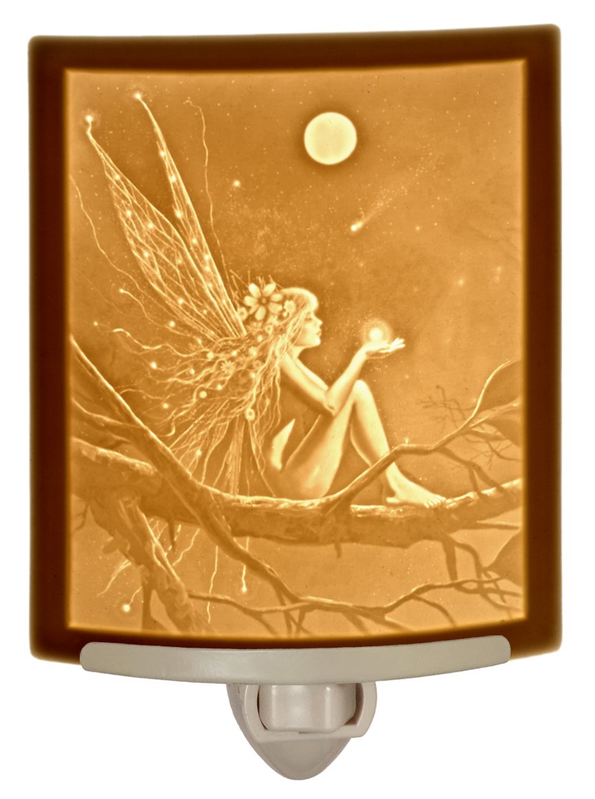 The Porcelain Garden Fairy Night Light Porcelain Lithophane - Catch a Falling Star  Art by David Delamare  Made Decorative Wall Plug in for Nursery  Bedroom  Kitchen  Bath  Hallway