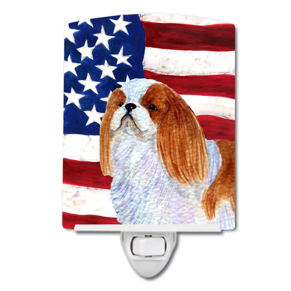 Carolines Treasures Ceramic Night Light, USA American Flag, UL-Certified, 6x4x3, Multicolor, Model SS4034CNL