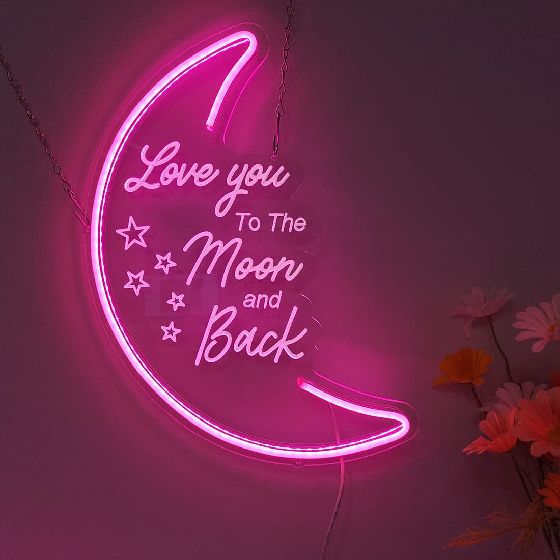 Britrio LED Moon Neon Light Sign, Pink 15.75"x10.24", USB Powered with Dimmer, Acrylic Decor for Kids' Bedroom & Parties