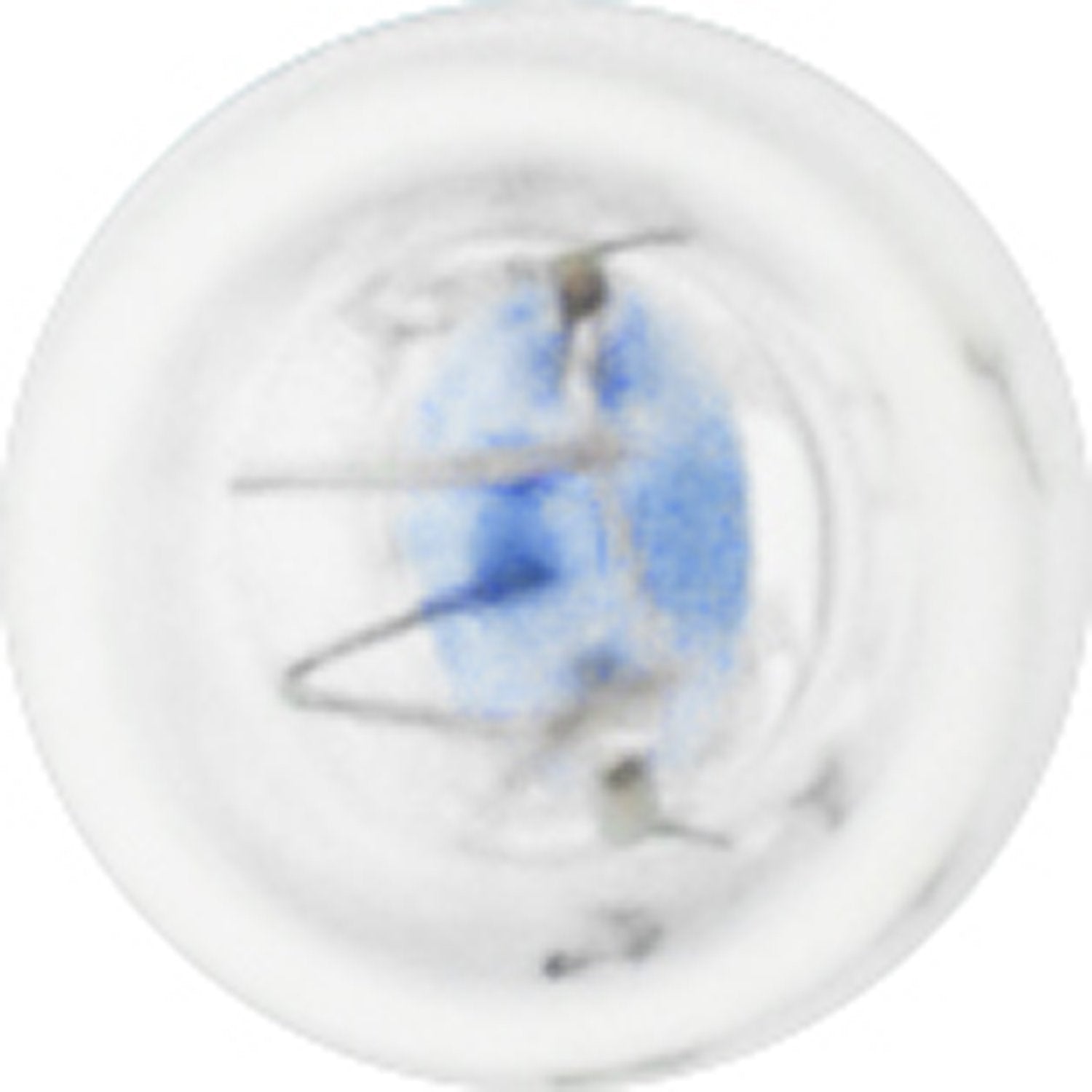 Sylvania 74 Basic Miniature Bulb, (Contains 2 Bulbs)