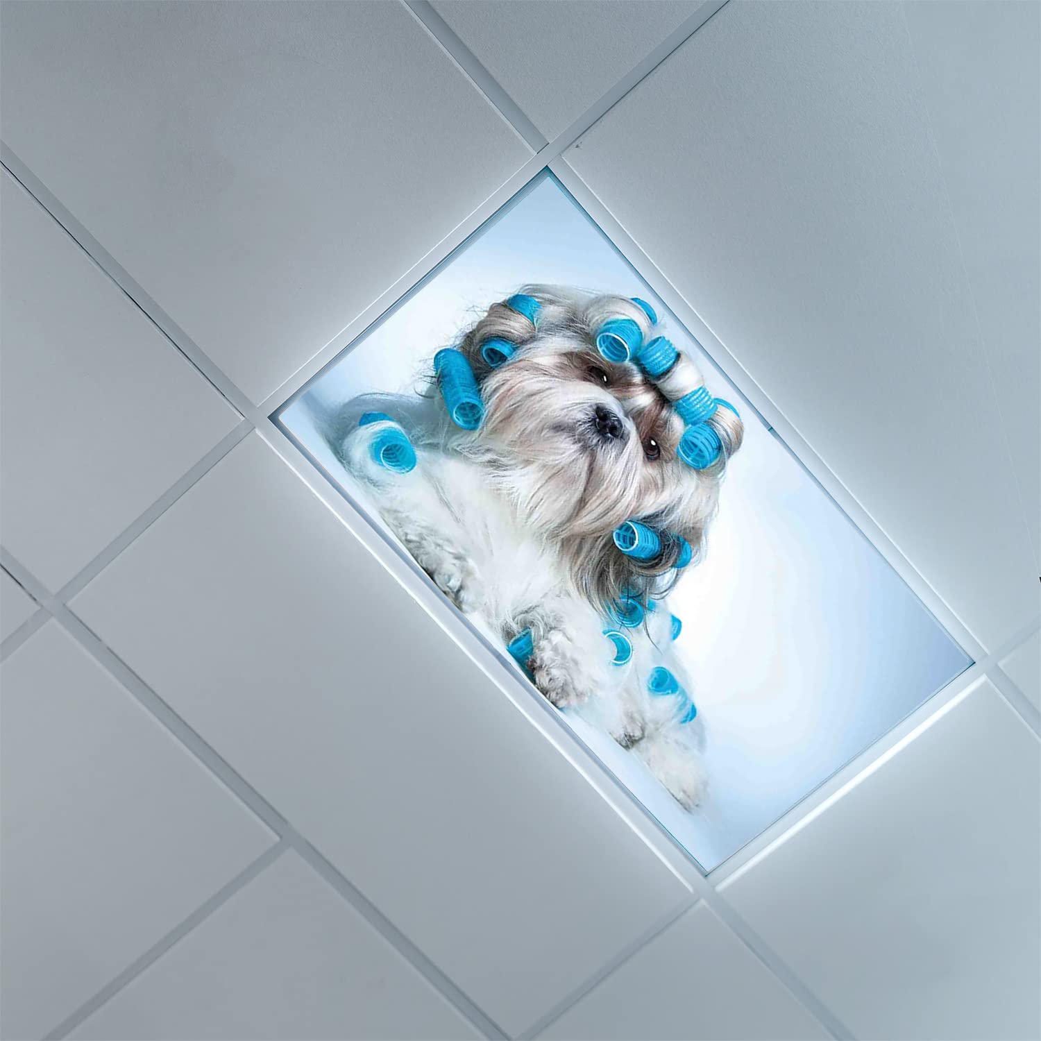 Lorougei Fluorescent Light Cover Decorative Ceiling Light Filters,Dog Lover Pattern,for Classroom Office Hospitals Home Ceiling 