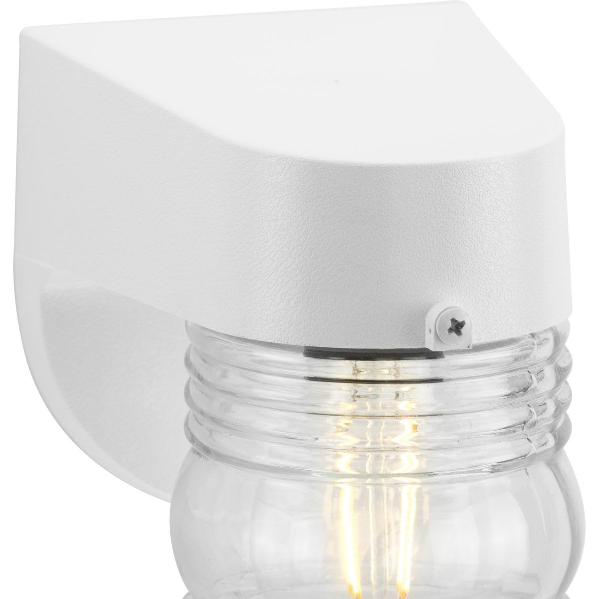 Polycarbonate Outdoor 1-Light Clear Glass Traditional Outdoor Wall Light White