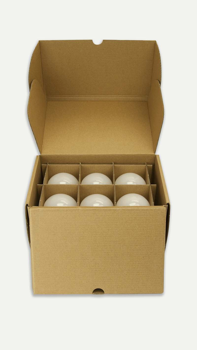 TCP 100W LED Light Bulbs, 14W A19, E26 Base, Non-Dimmable, Daylight 5000K, Pack of 6