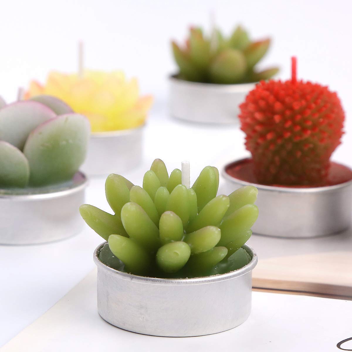 Wangmingtu Succulent Cactus Tea Light Candles Unscented 6Pcs Assorted For Birthday Party Favors Wedding Decor Gift Sets