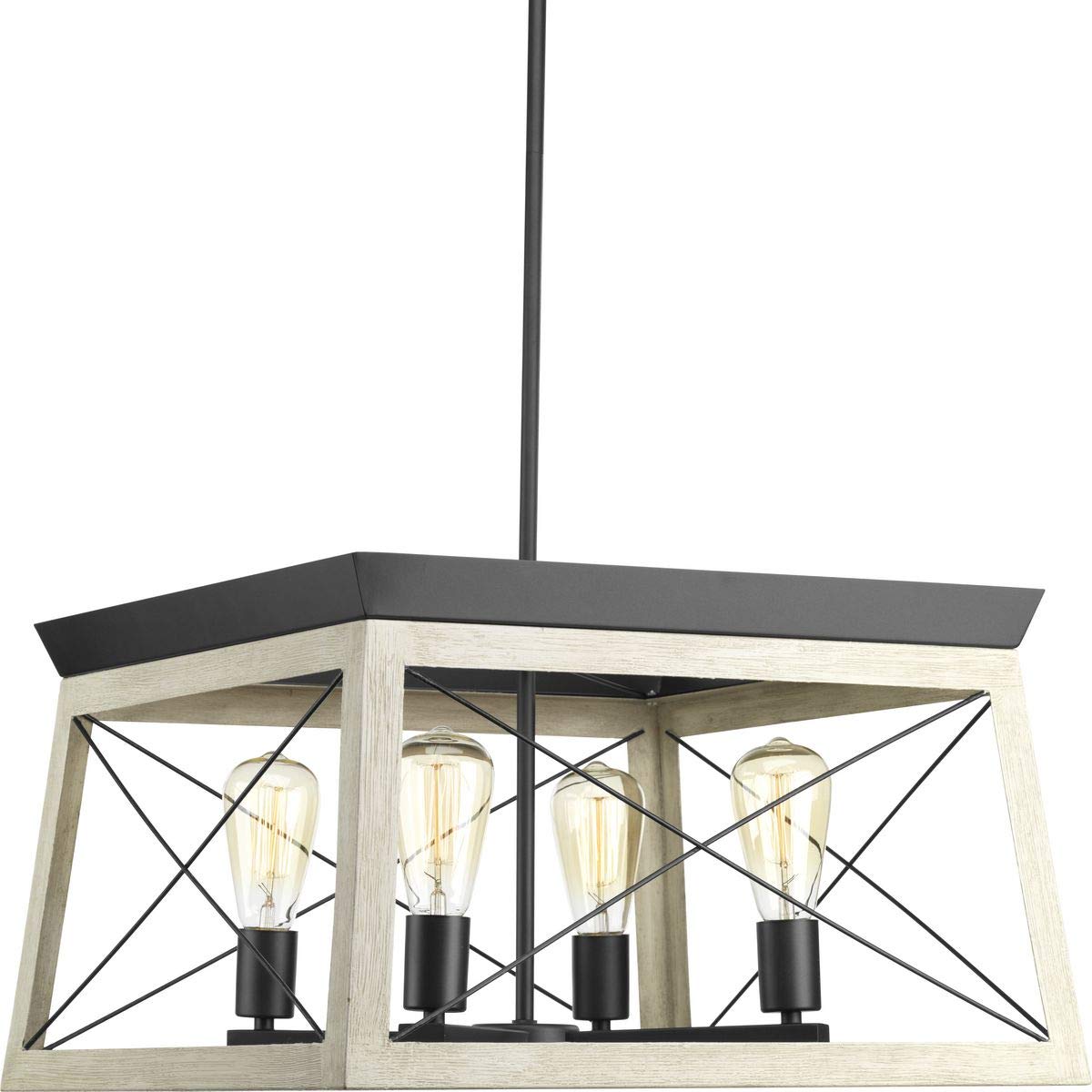 Briarwood Collection 4-Light Coastal Chandelier Light Graphite