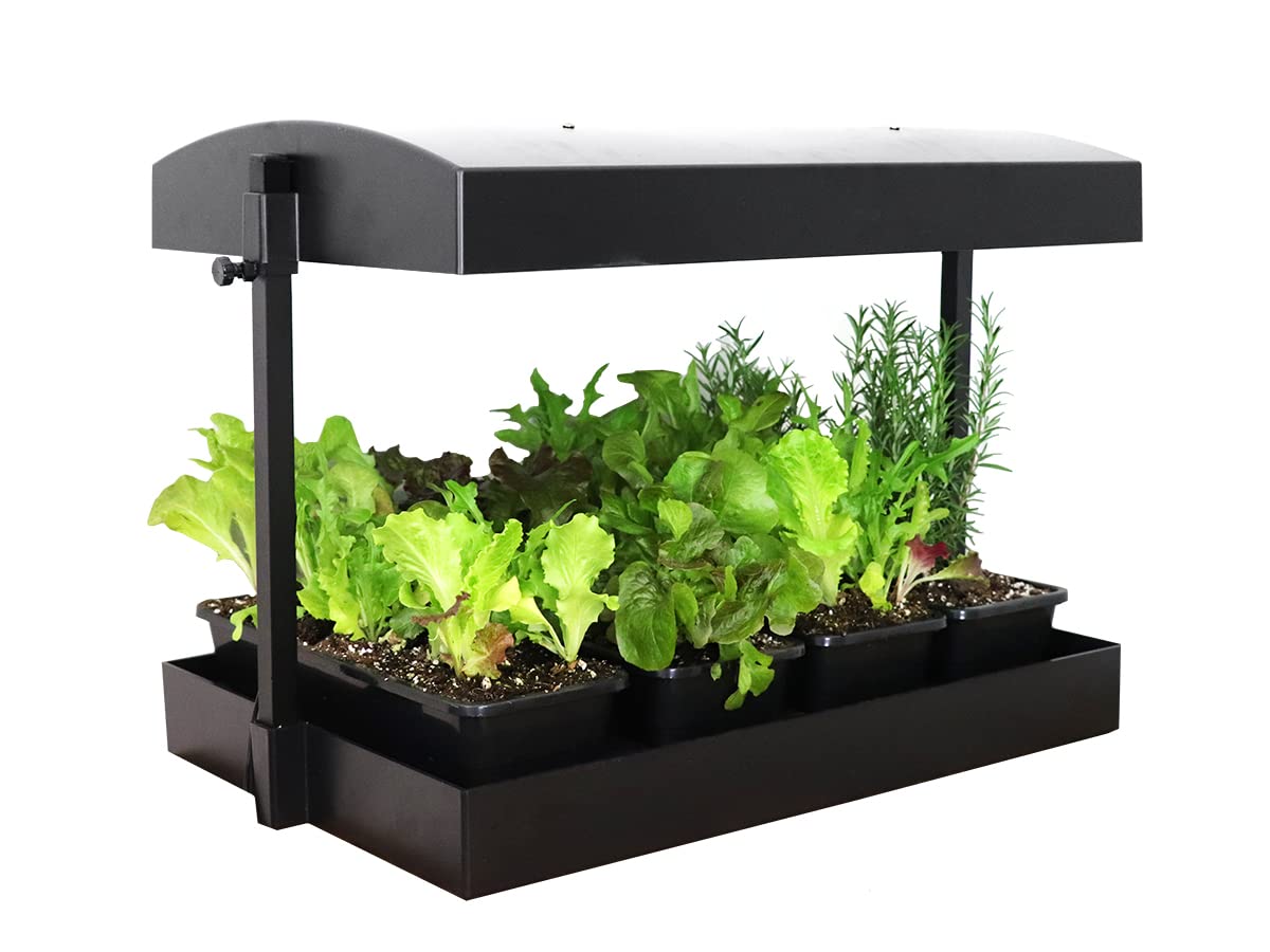 SunBlaster T5HO Indoor Growlight Garden, Home Growing Kit