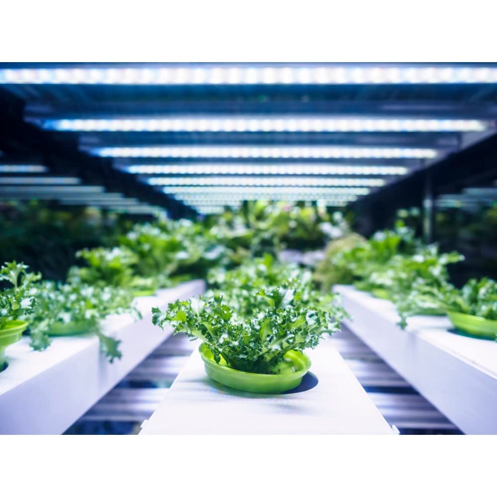 Feit Electric 4 Plant Grow LED Bulb - Linear Tubular - 1 Pack