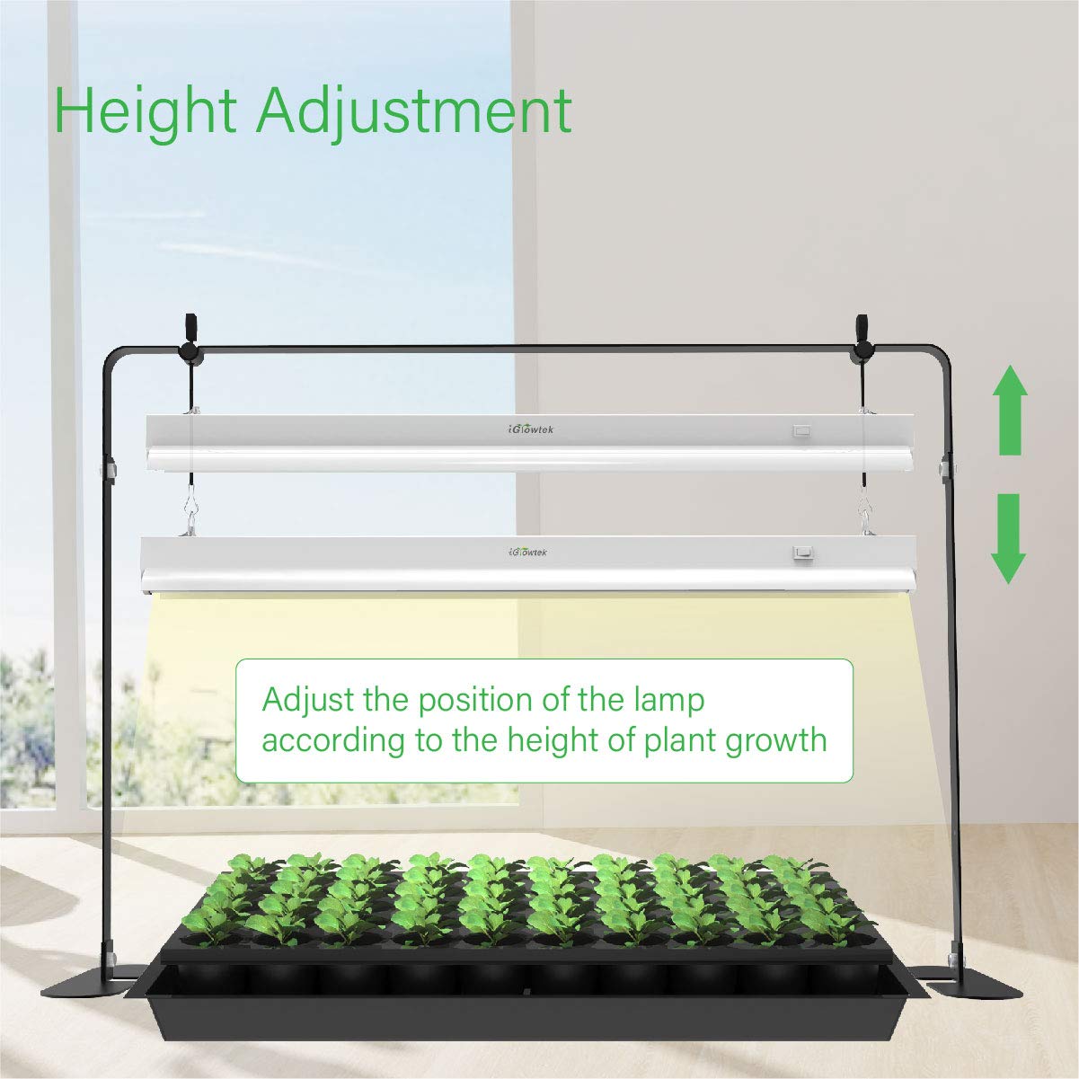 iGrowtek 2ft Grow Light for Seed Starting - Thumbnail 4
