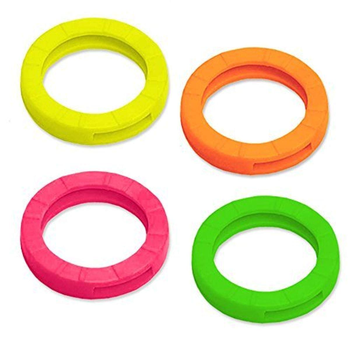 Lucky Line Medium Key Identifiers, Neon, 4 Pack (16706), assorted neon colors