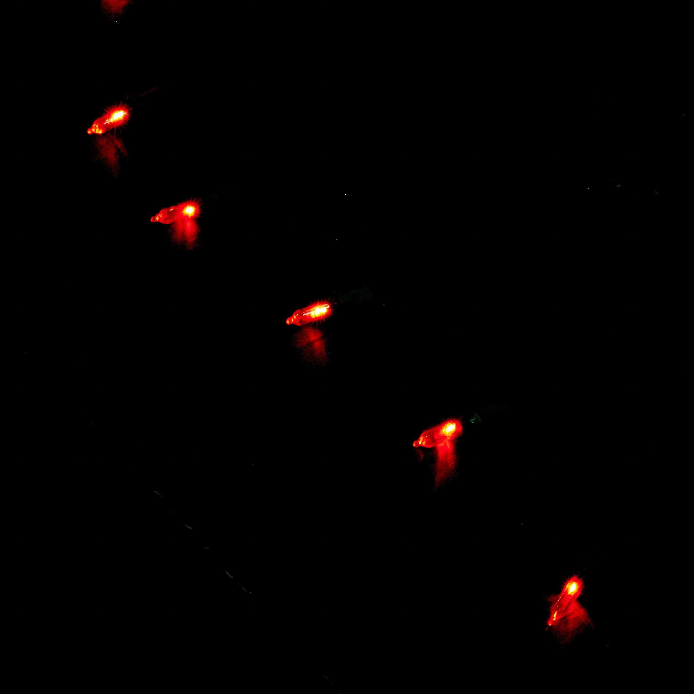 Noma/Inmliten-Import 40833-88A 0 50 Count, Red, Led Traditional Mini Bulb Light Set, Green Wire