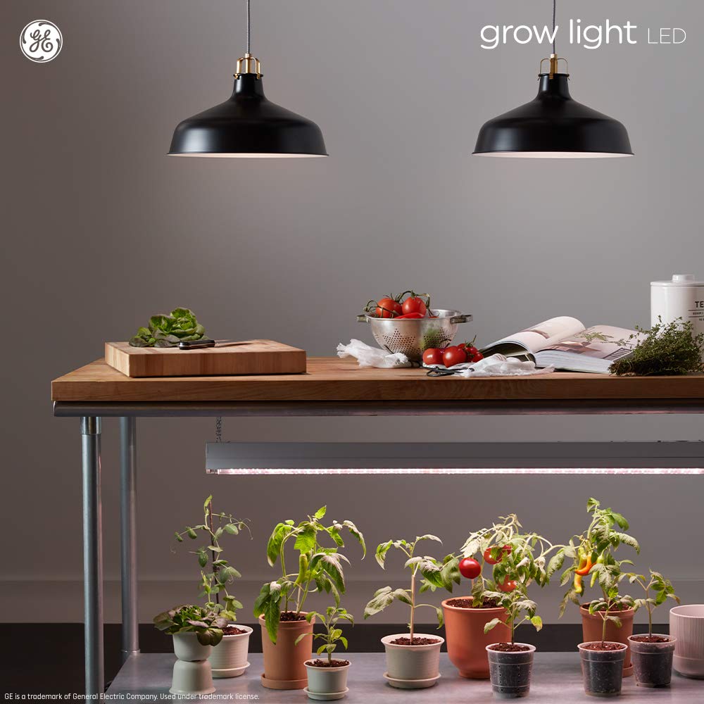 GE Grow Light LED Indoor Flood Light Bulb, 9W, Medium Base, Balanced Spectrum for Seeds & Greens, 1 Pack