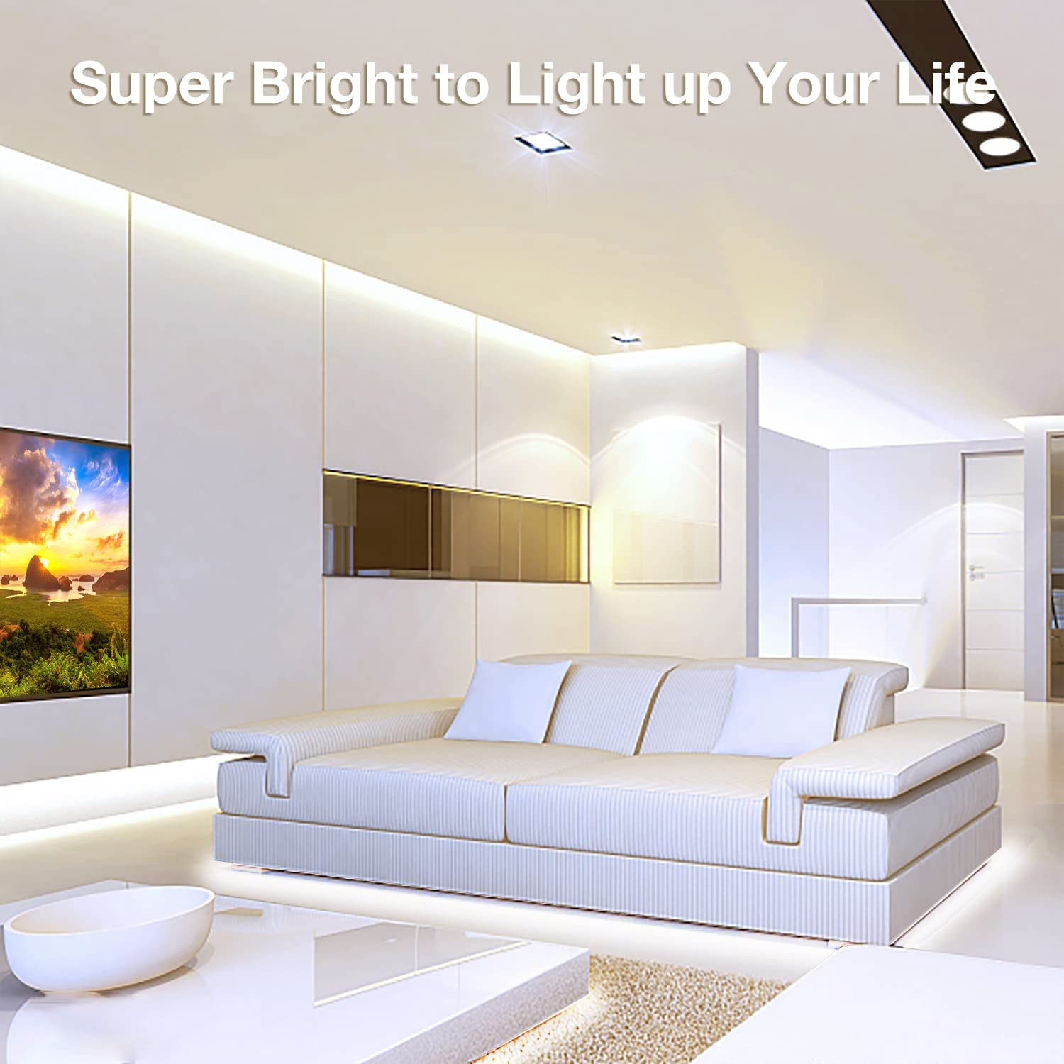Daybetter Cob Led Strip, 16.4 Ft White Led Strip Lights, Dimmable Led Light Strip 4000K Bright Neutral White, 24V, 1600Leds, 283