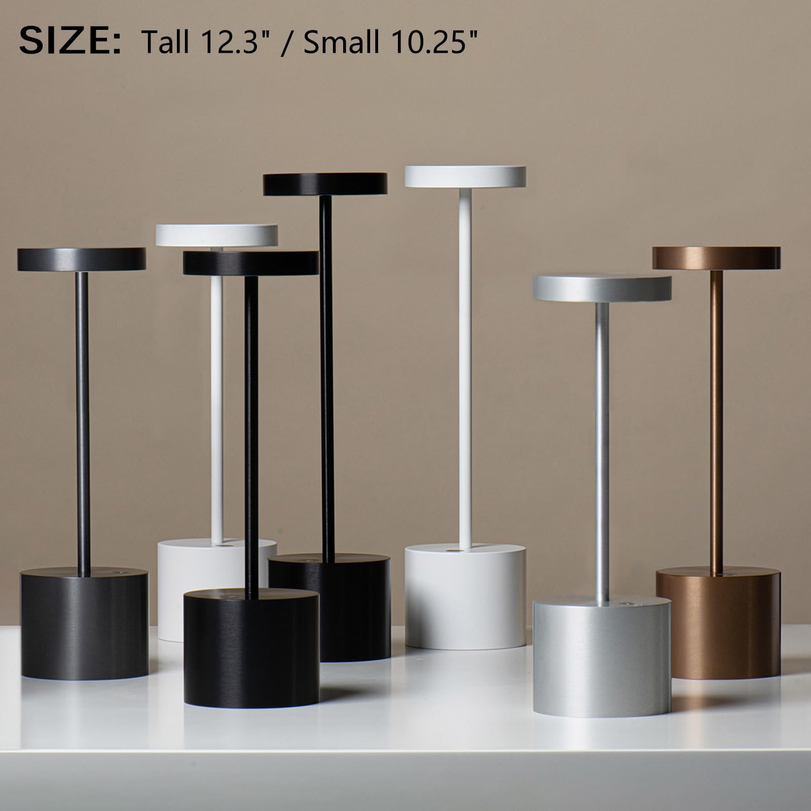 Barryca 2 Pack Cordless LED Table Lamp - 5000mAh Battery, Stepless Dimmable, Metal, Silver, Portable for Indoor/Outdoor Use