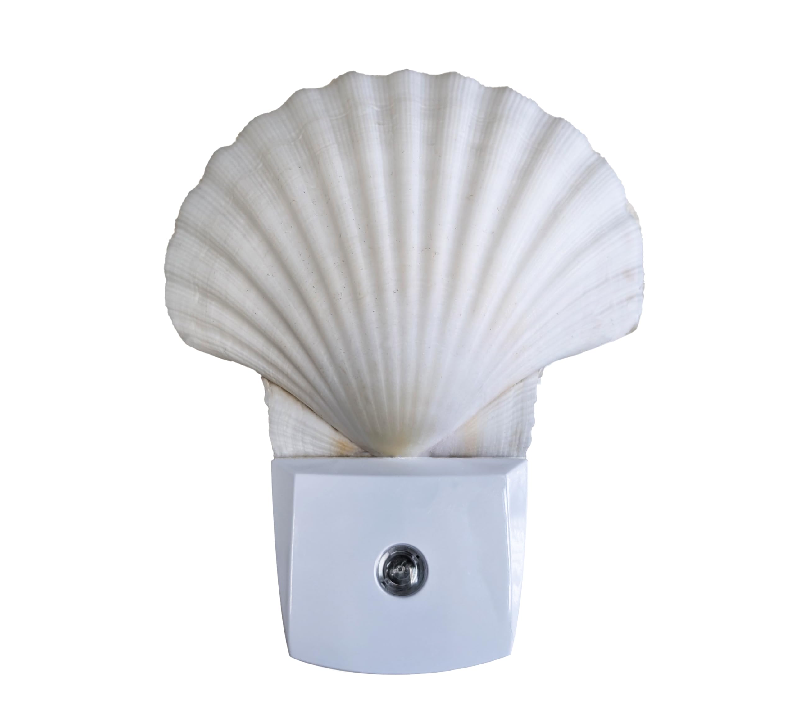 Nautical Crush Trading Sea Shell Night Light - Auto - Plug-in White Clam Shell - Bathroom/Beach Decor