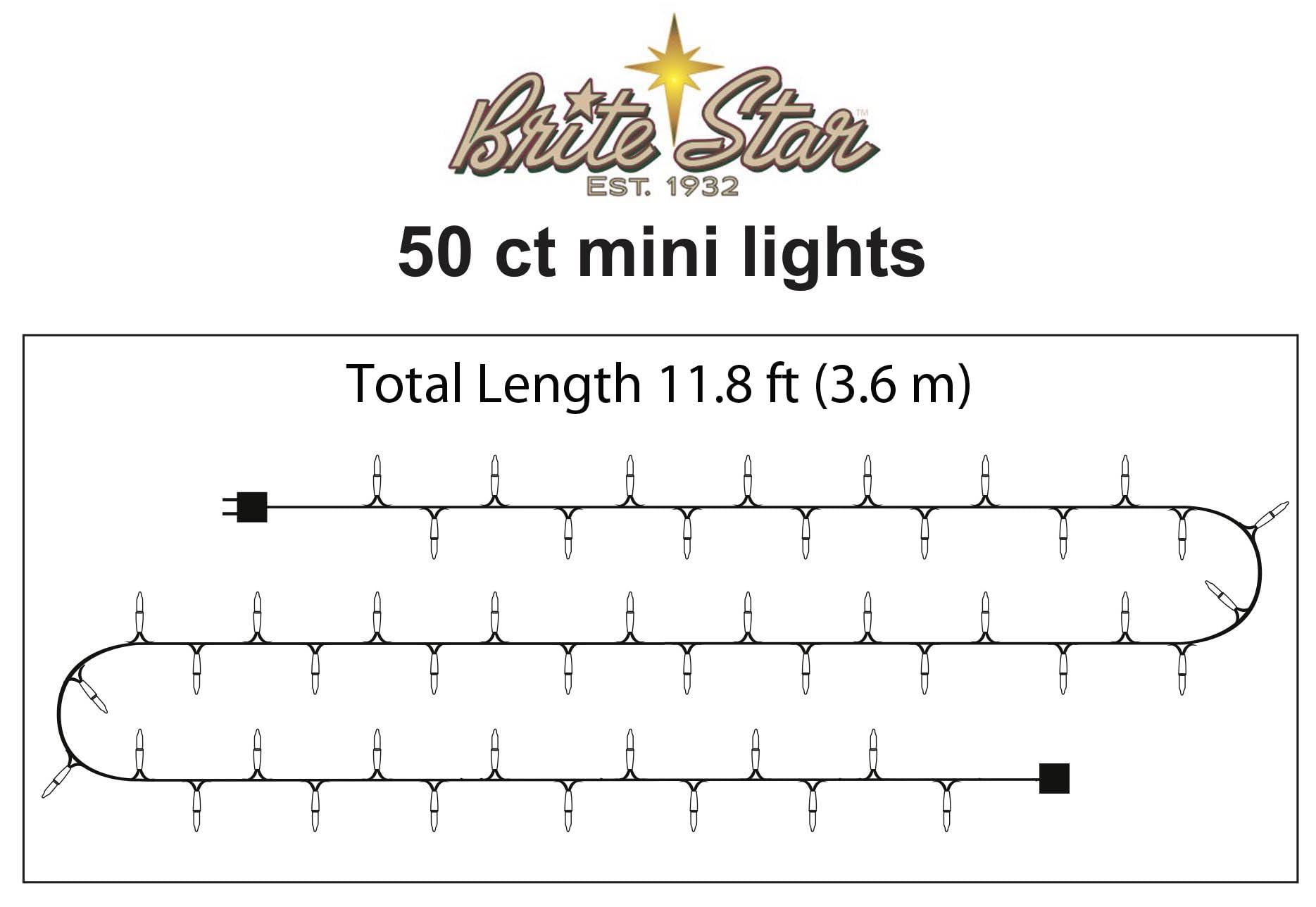 Brite Star 50 Lt String Lights, Clear with Green Wire, Model 37-321-00, Plastic
